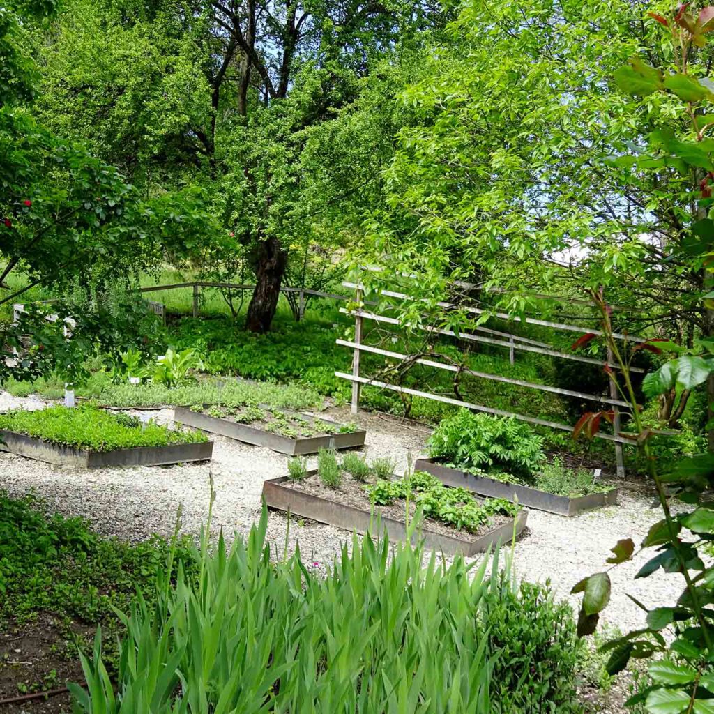 Die Beete wurden nach dem Vorbild des Gartenbaus nach Walahfrid Strabo angelegt.