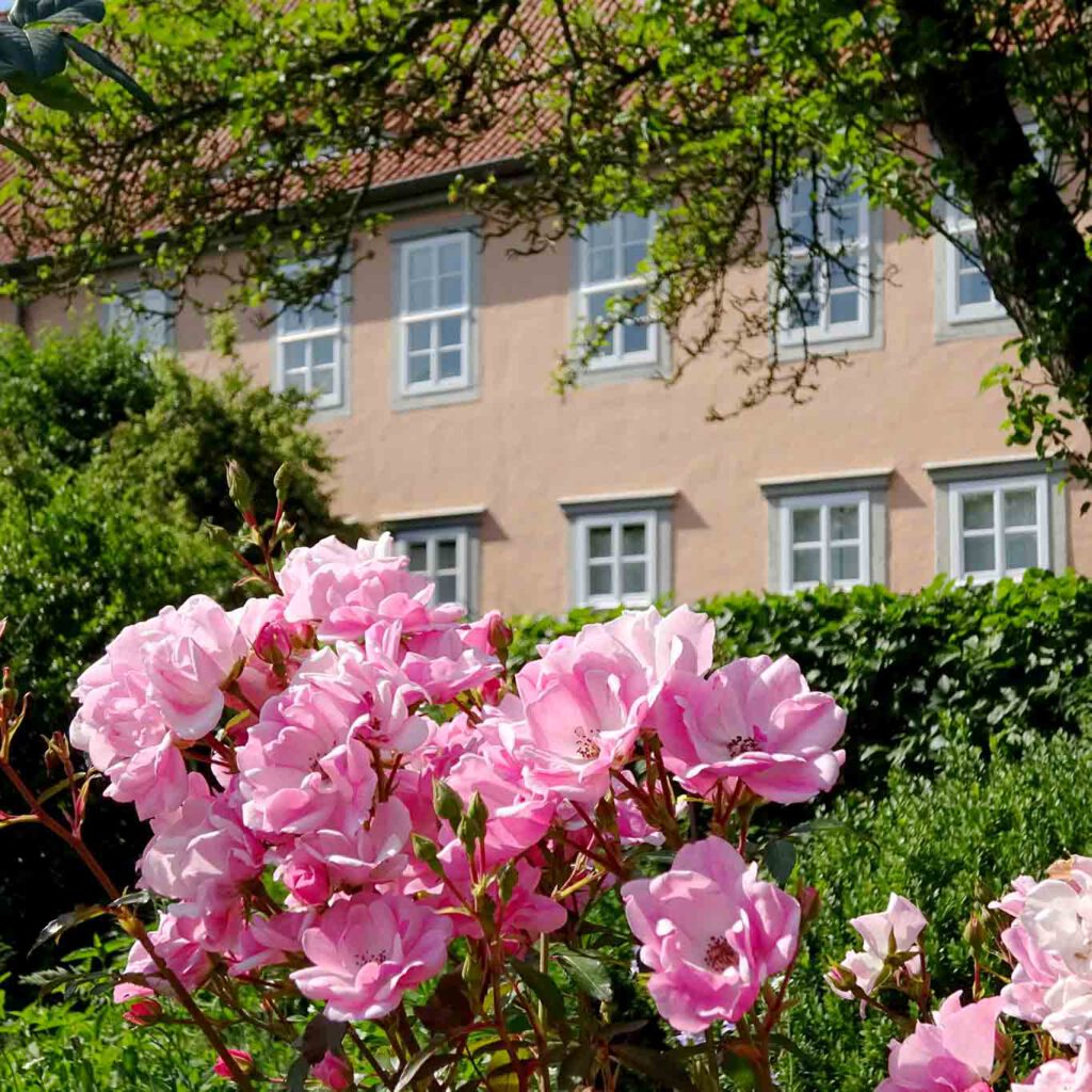 Rosen. Jeder in der Lüneburger Heide liebt Rosen, ebenso die Konventualinnen in Isenhagen.