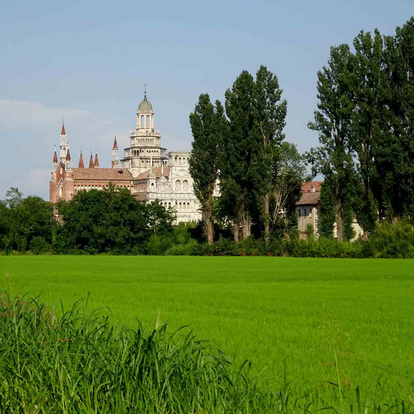 Von Weitem künden die Türme der Certosa die Pavia über die Anwesenheit der Mönche in der Poebene.