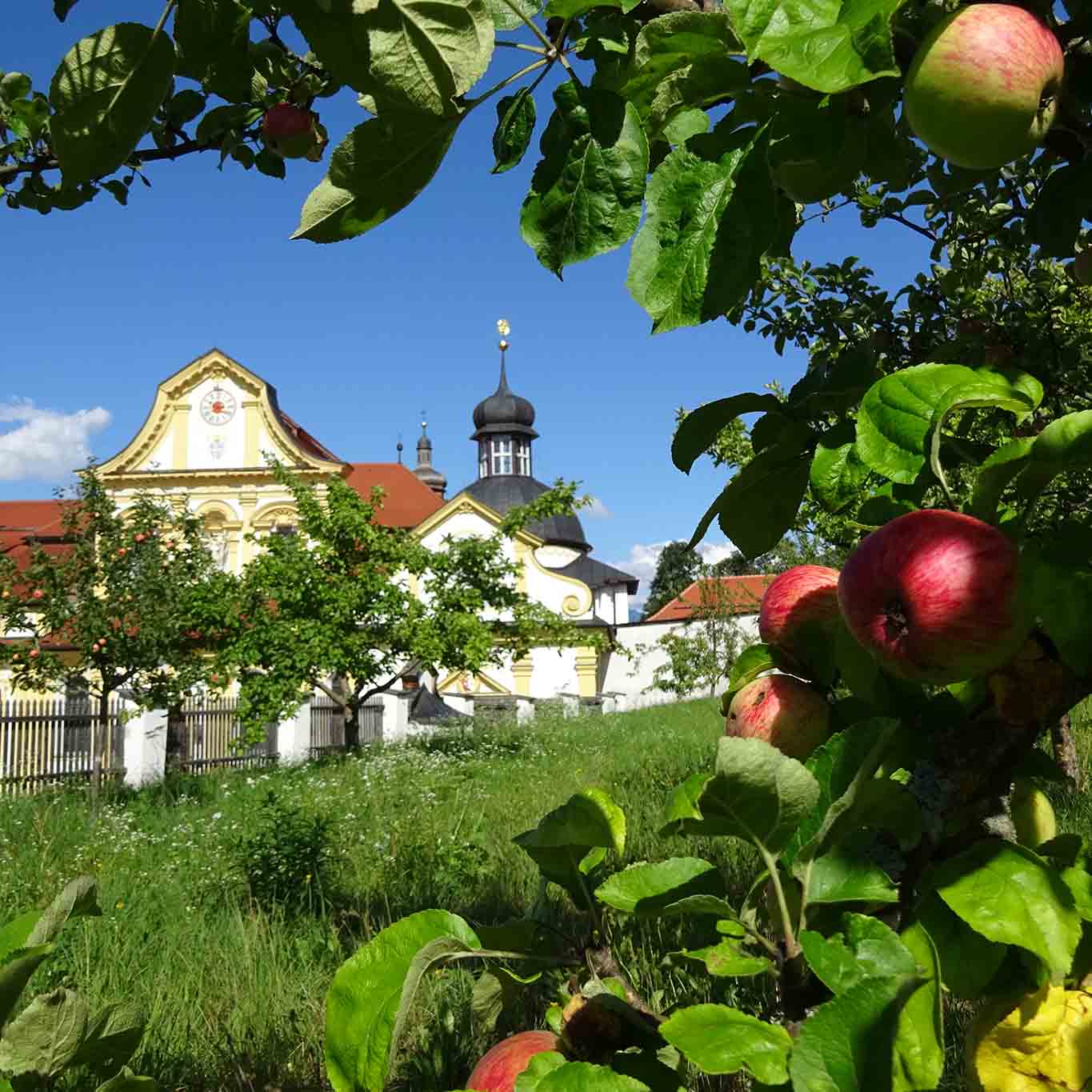 In den Nutzgärten vom Stift Stams wird Obstbau betrieben.
