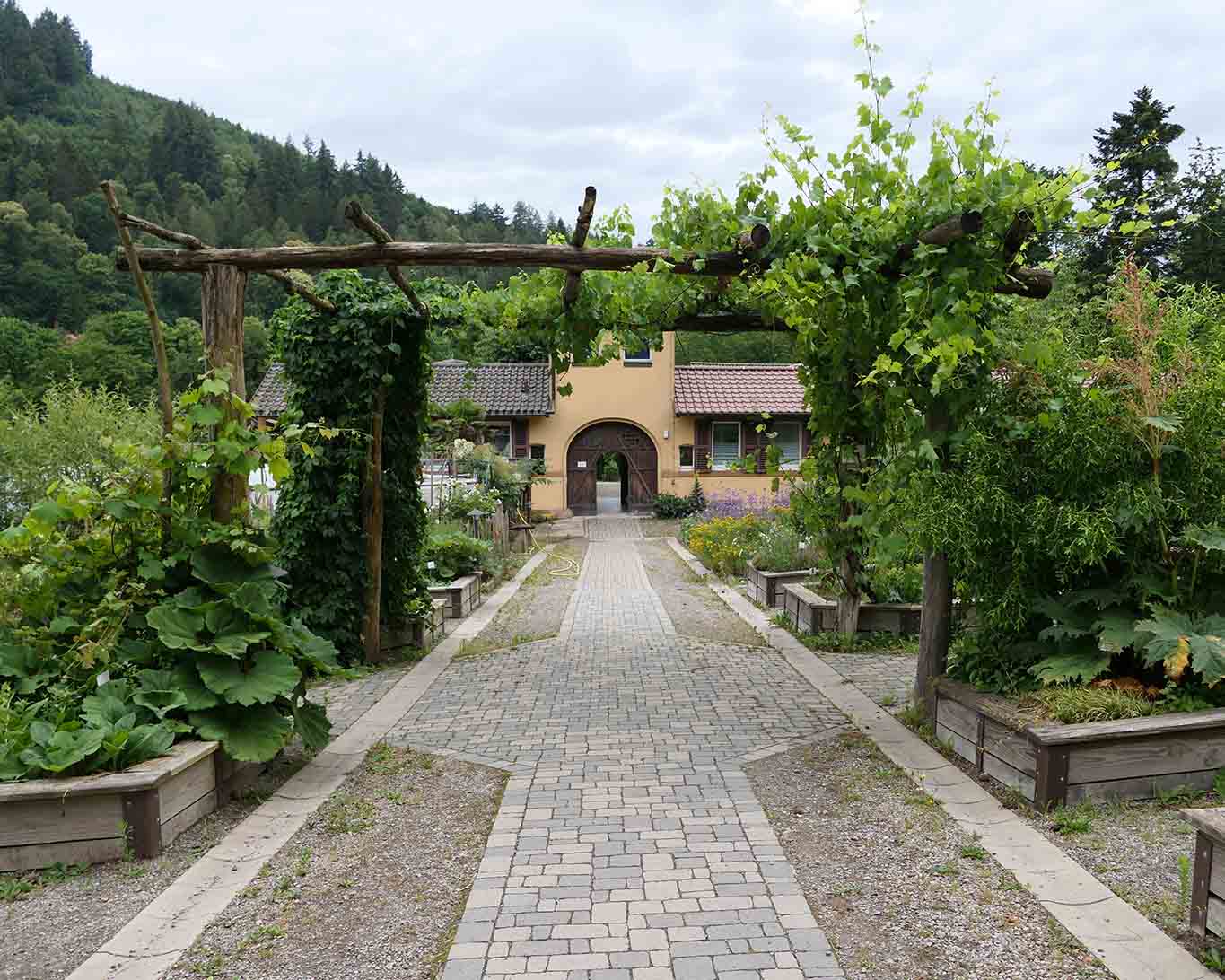 Pergolen unterbrechen optisch den Klostergarten St. Lioba in Freiburg