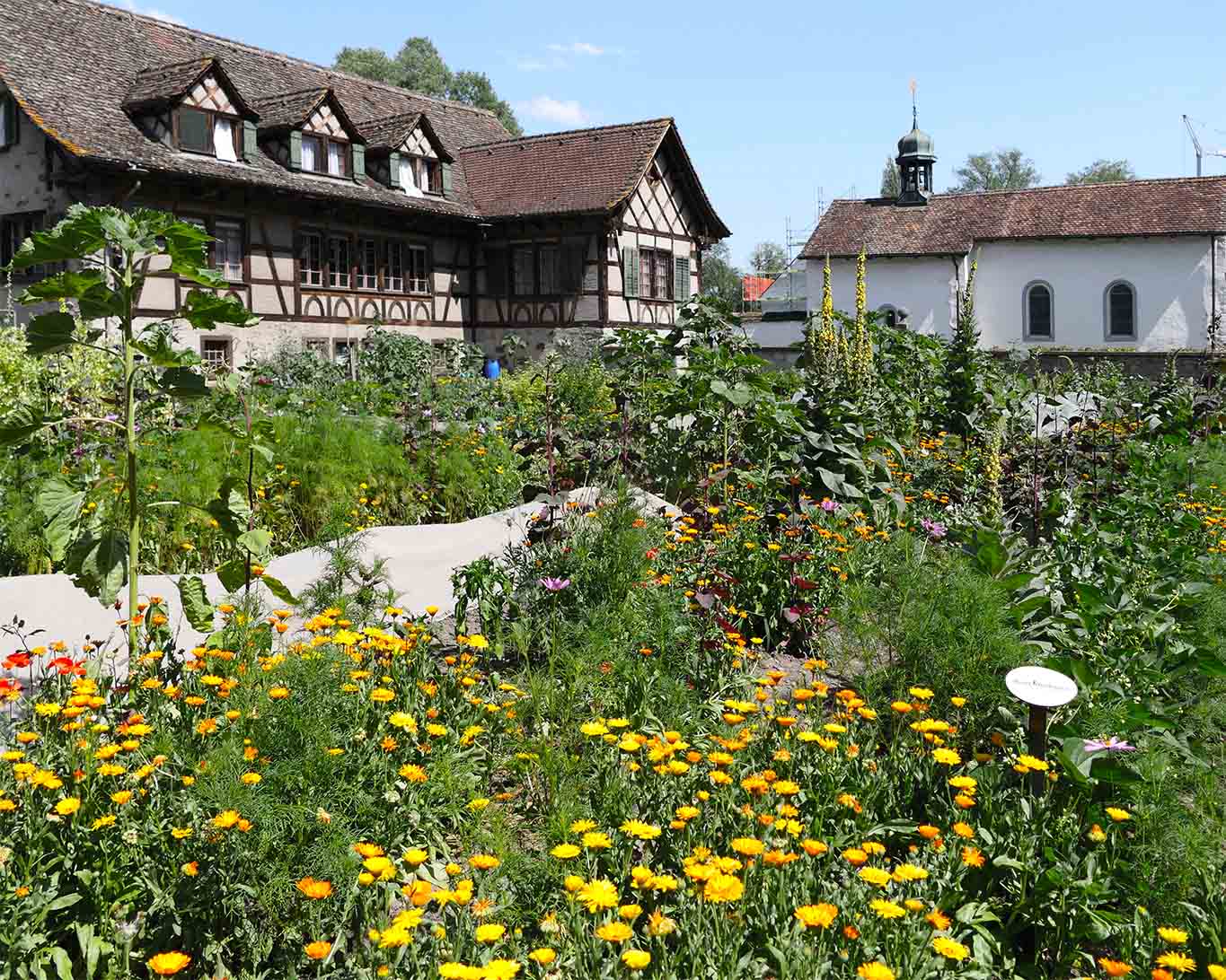 Sie mögen es bunt und treiben es eher ruhig. Die Benediktinerinnen zu Fahr haben ihren Klostergarten als Oase für Ruhesuchende geöffnet.