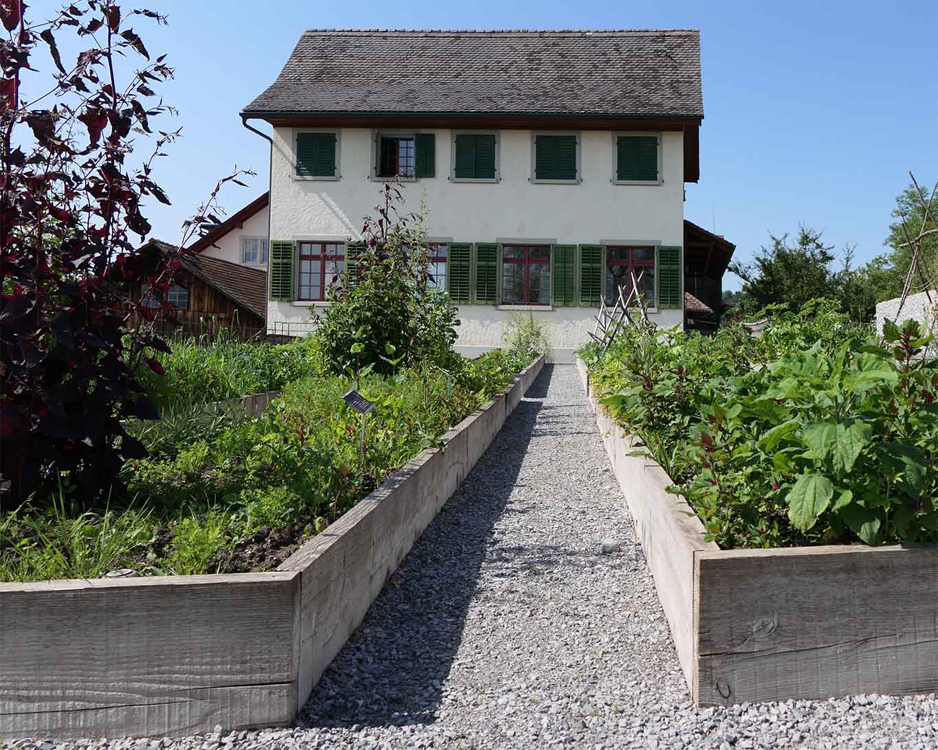 Blick in den Nutzgarten, wo die alten Gemüsesorten gedeihen.
