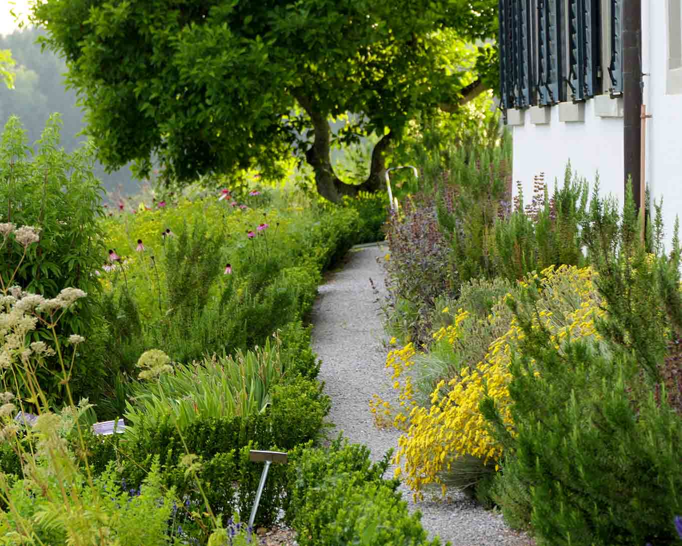 Wege durch den Heilkräutergarten im Kloster Kappel.