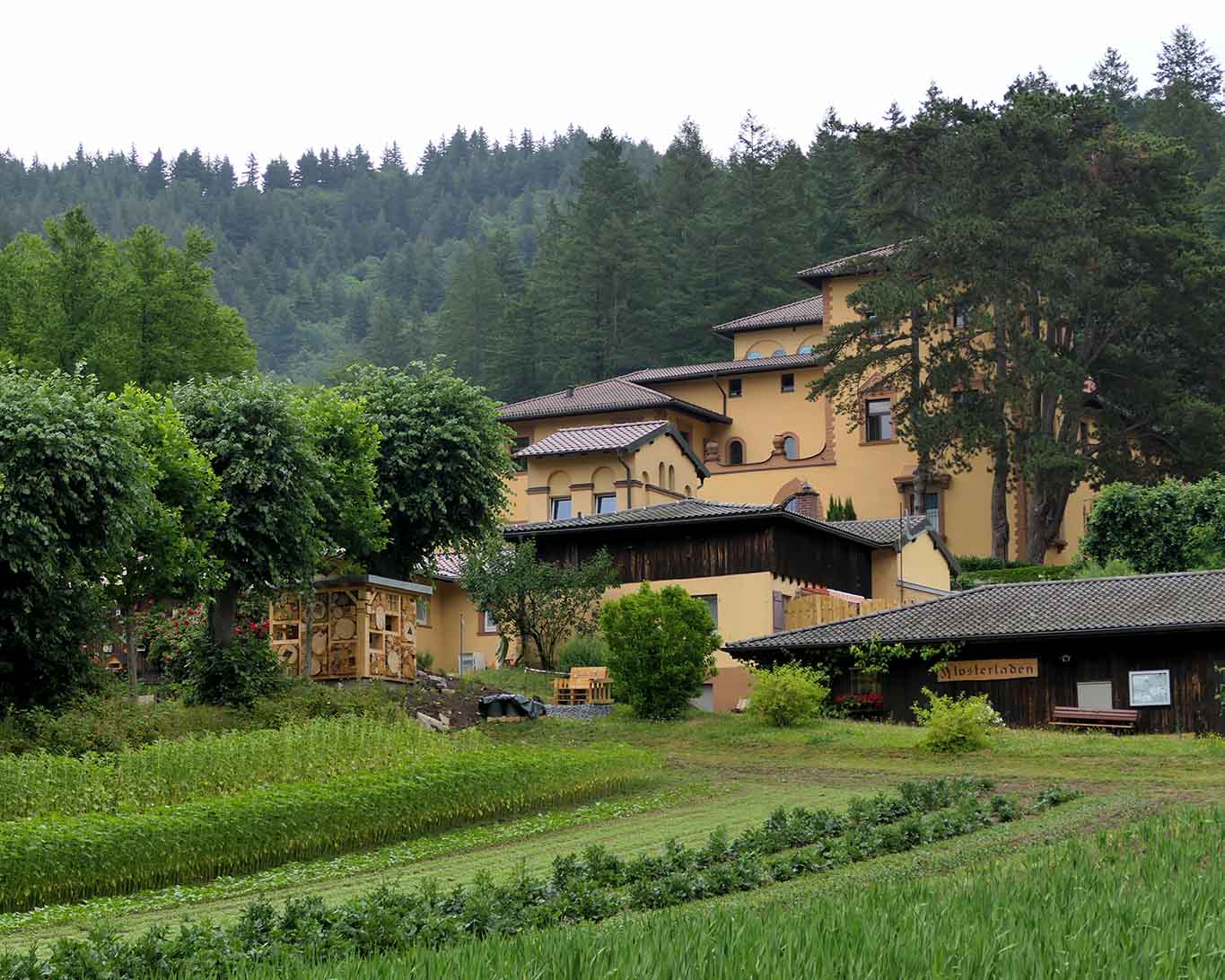 Am Rande des Waldes gelegen das Freiburger Kloster St. Lioba