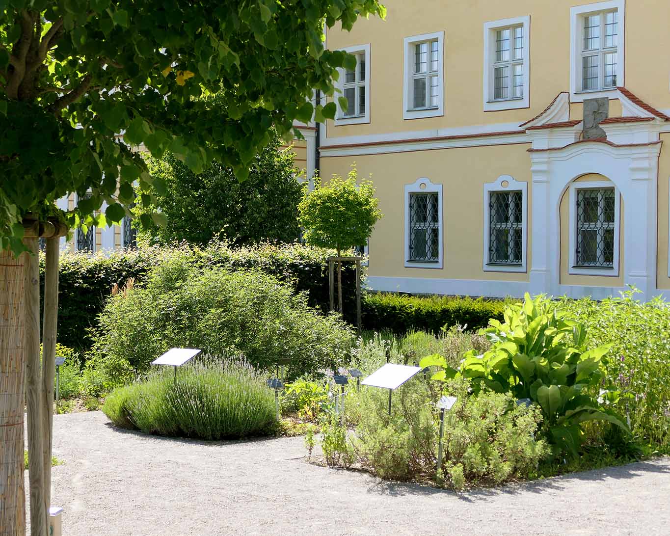 Blick in den Heilkräutergarten des Klosters Roggenburg.