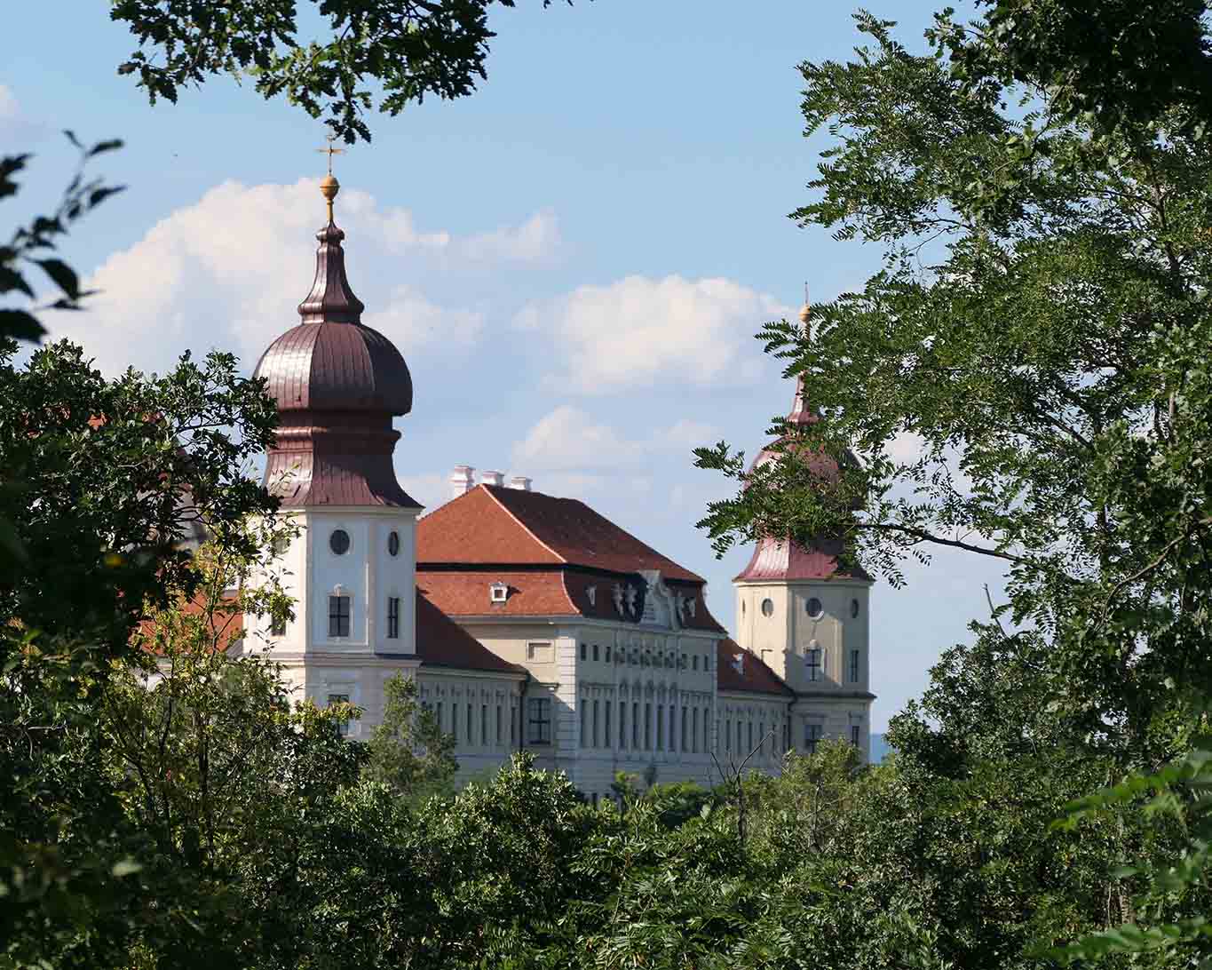 Blick durch die Bäume auf Stift Göttweig