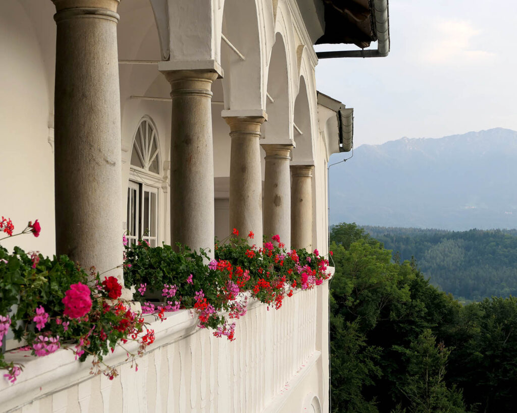 Geranien sind das Markenzeichen des Klosters Wernberg.