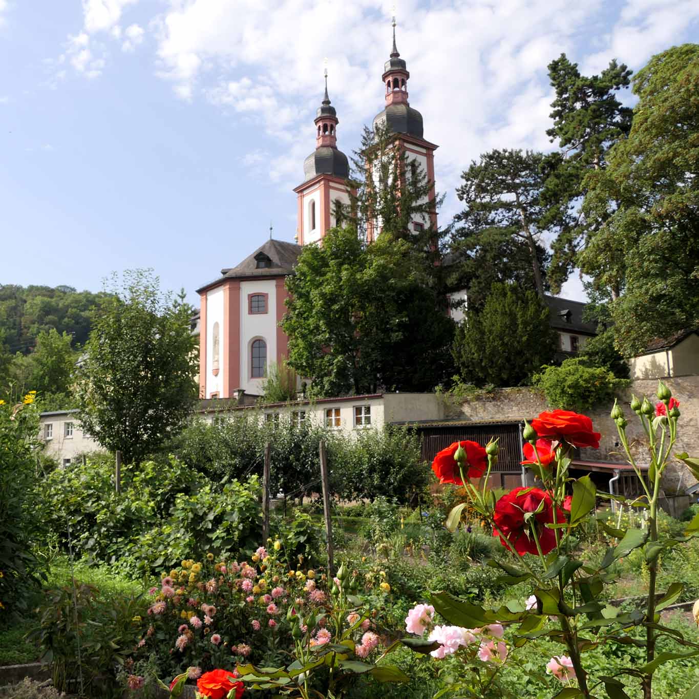 Terrassen mit den Klostergärten über dem Main bei den Oberzeller Franziskanerinnen