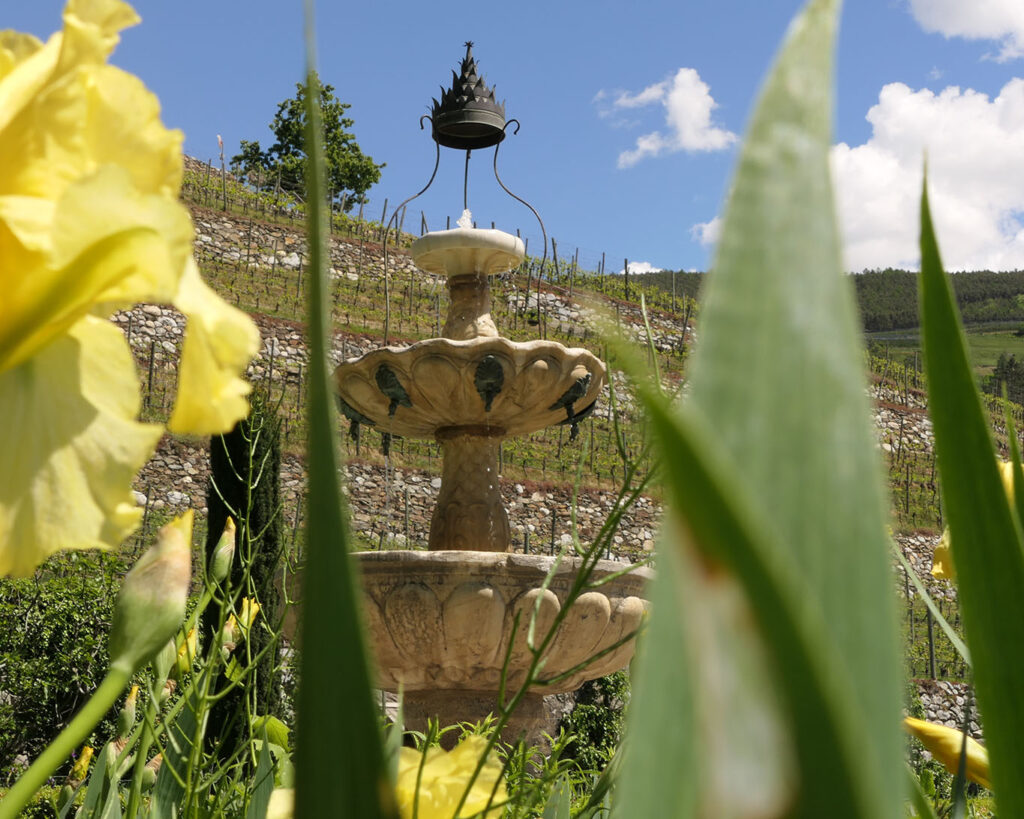 Brunnen vor Weinberg mit Lilien und Frühlingshimmel