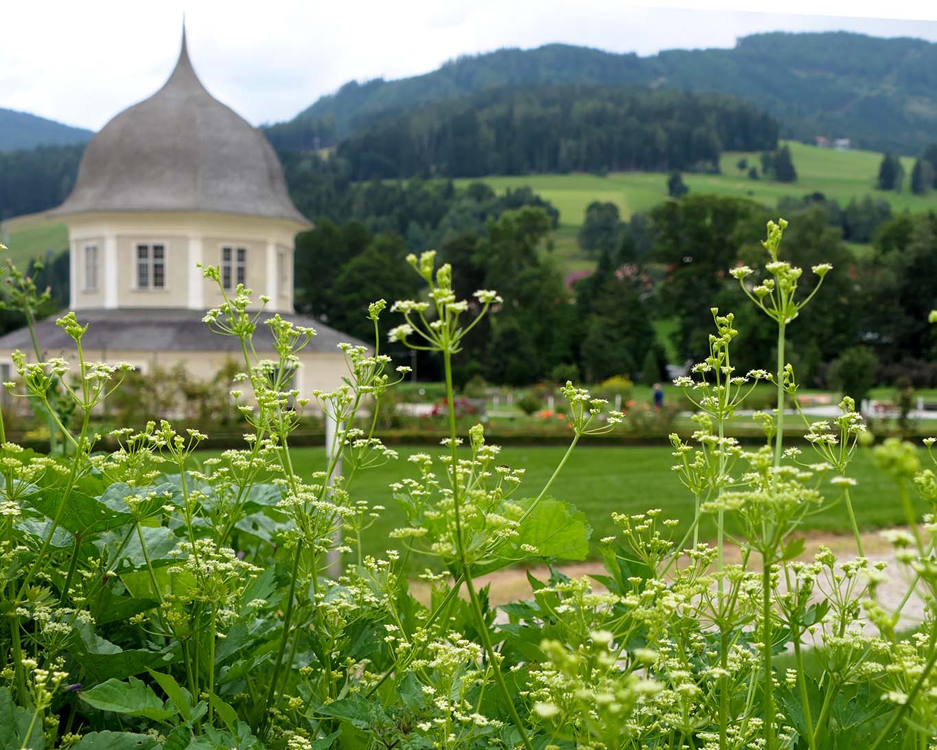 Wild geht es zu in den Wiesen rings um den grossen Garten des Benediktinerstifts St. Lambrecht.