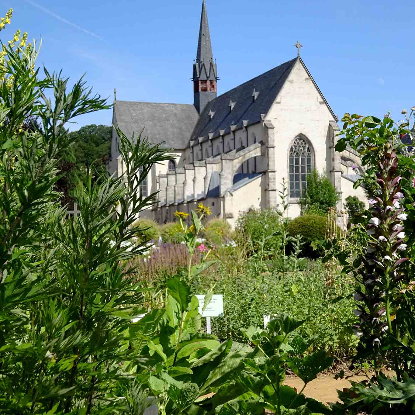 Blick auf die Abteikirche aus dem Heilkräutergarten in Marienstatt. Im Herzen des Westerwaldes befindet sich die Zisterzienserabtei Marienstatt mit wunderschönen Gärten.