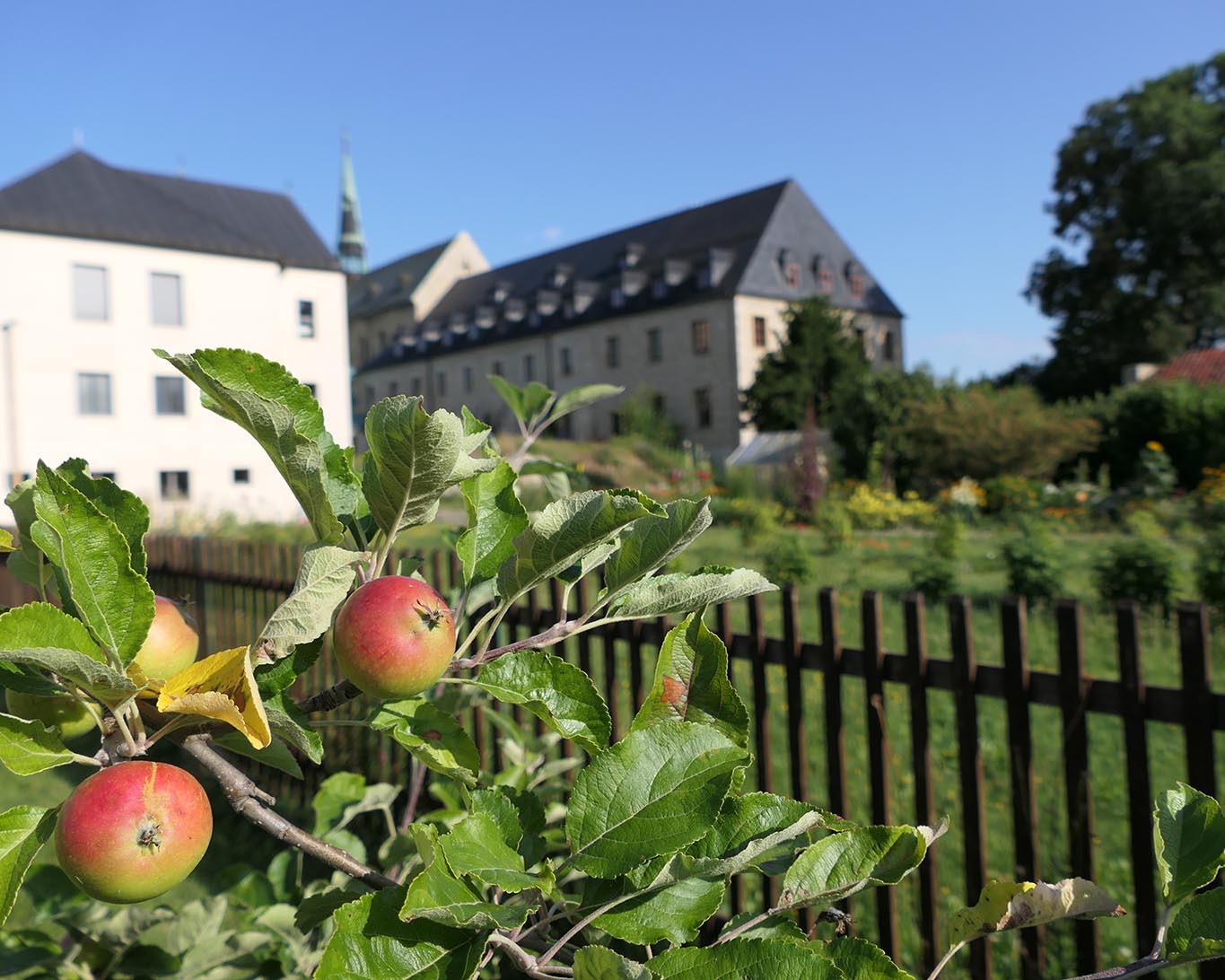 Nicht alle Gärten im Kloster Huysburg sind für die Gäste zugänglich. Innerhalb der Klausur wachsen das Gemüse und die Blumen für den Altarschmuck.