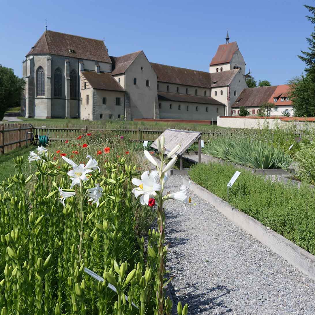 Walahfried Strabo empfahl Holzlatten als Begrenzungen für die Beete im Klostergarten.