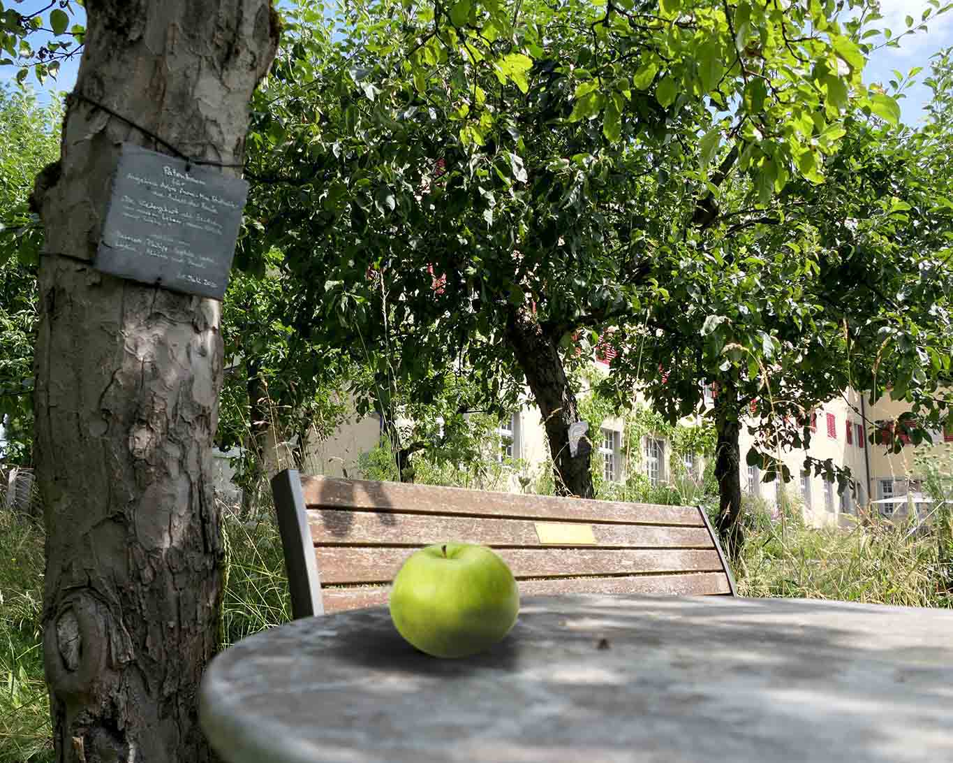 kloster wesemelin apfel tell auf wilhems tisch