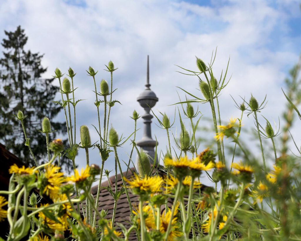 kloster wesemlin karden und spitze