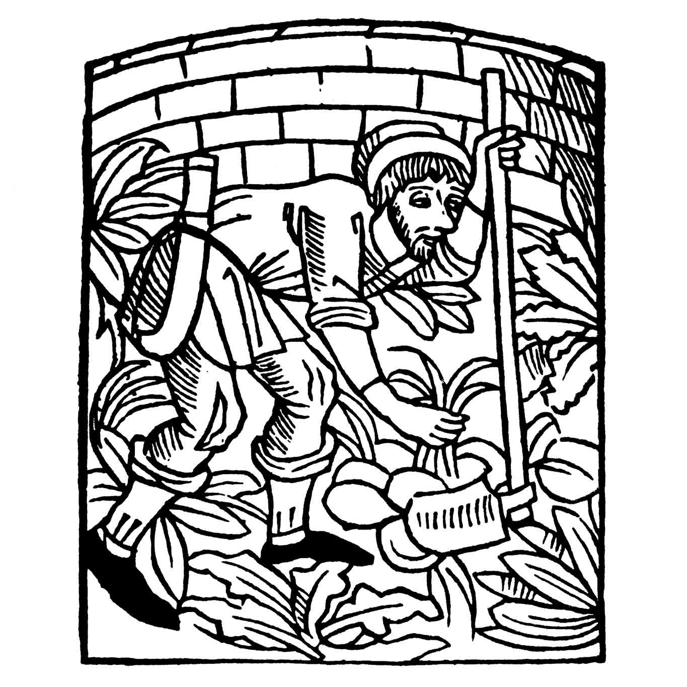 walahfrid hortus sanitatis mainz 1491 01. varjpg
