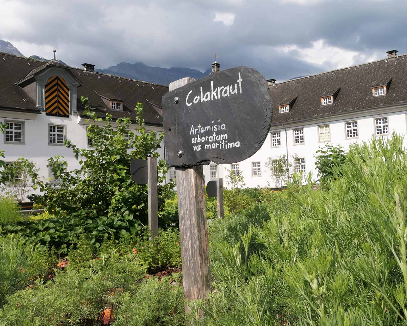 Eine Reminiszenz an die Internatssch&uuml;ler des Klosters Engelberg. Colakraut. Obwohl die Generation Wasser den S&uuml;ssgetr&auml;nken vorzieht.