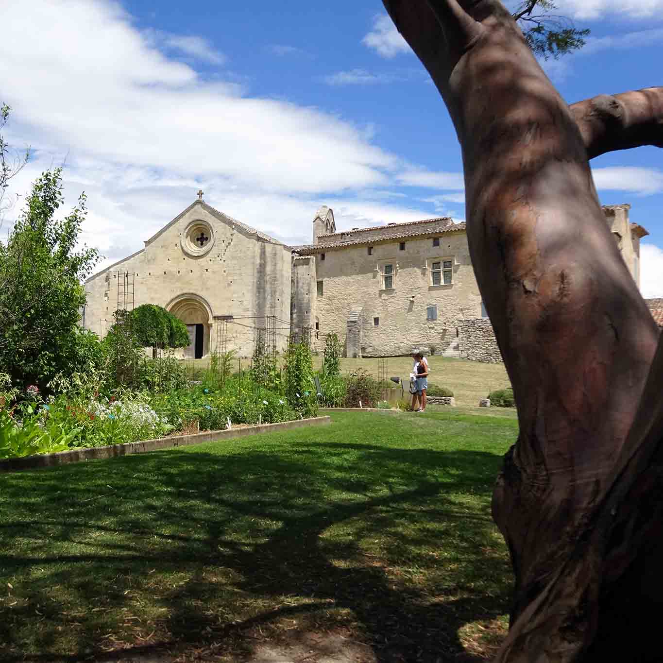 abbaye arbre rouge jardin et musee salagon
