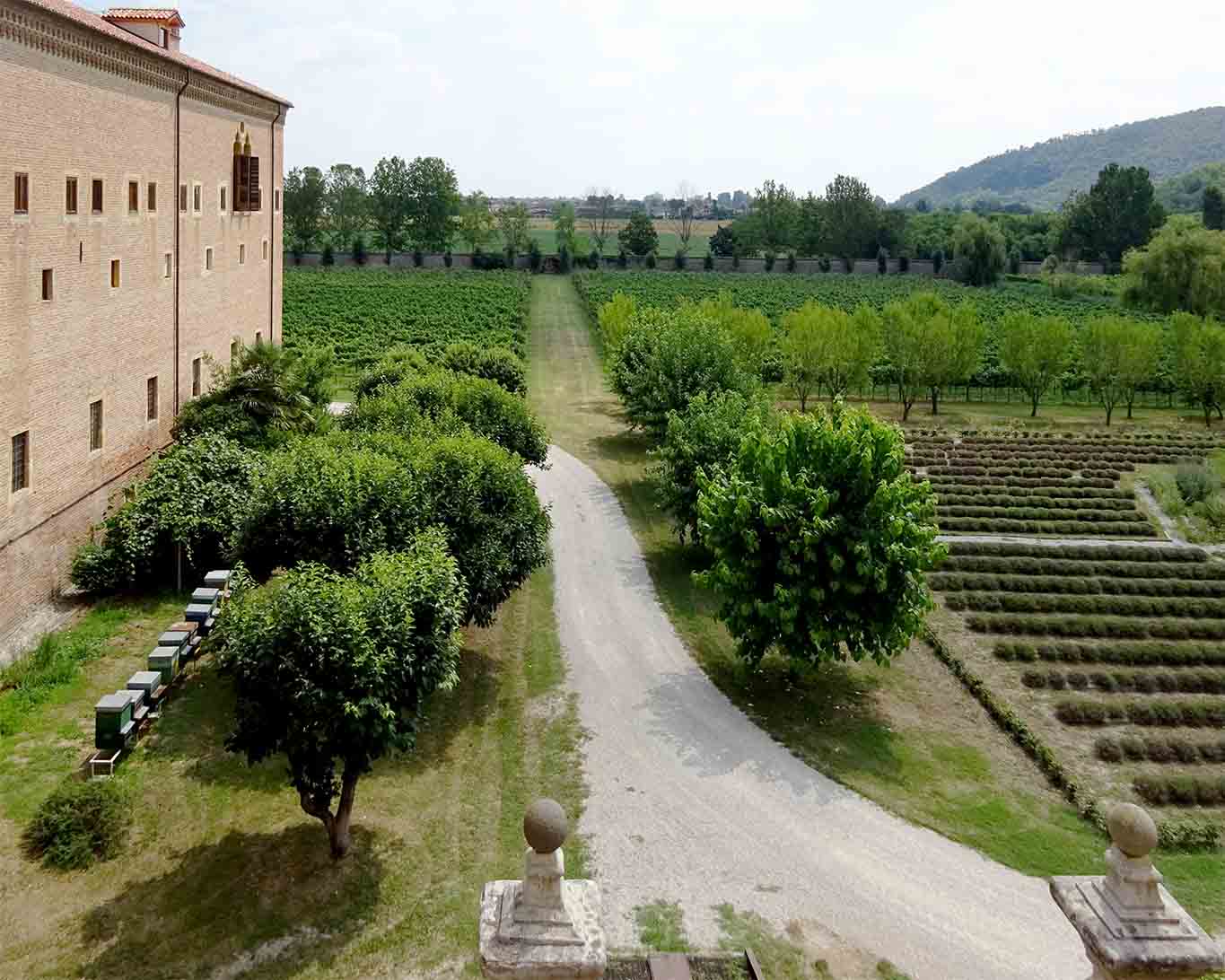 abbazia di praglia kräutergarten queer