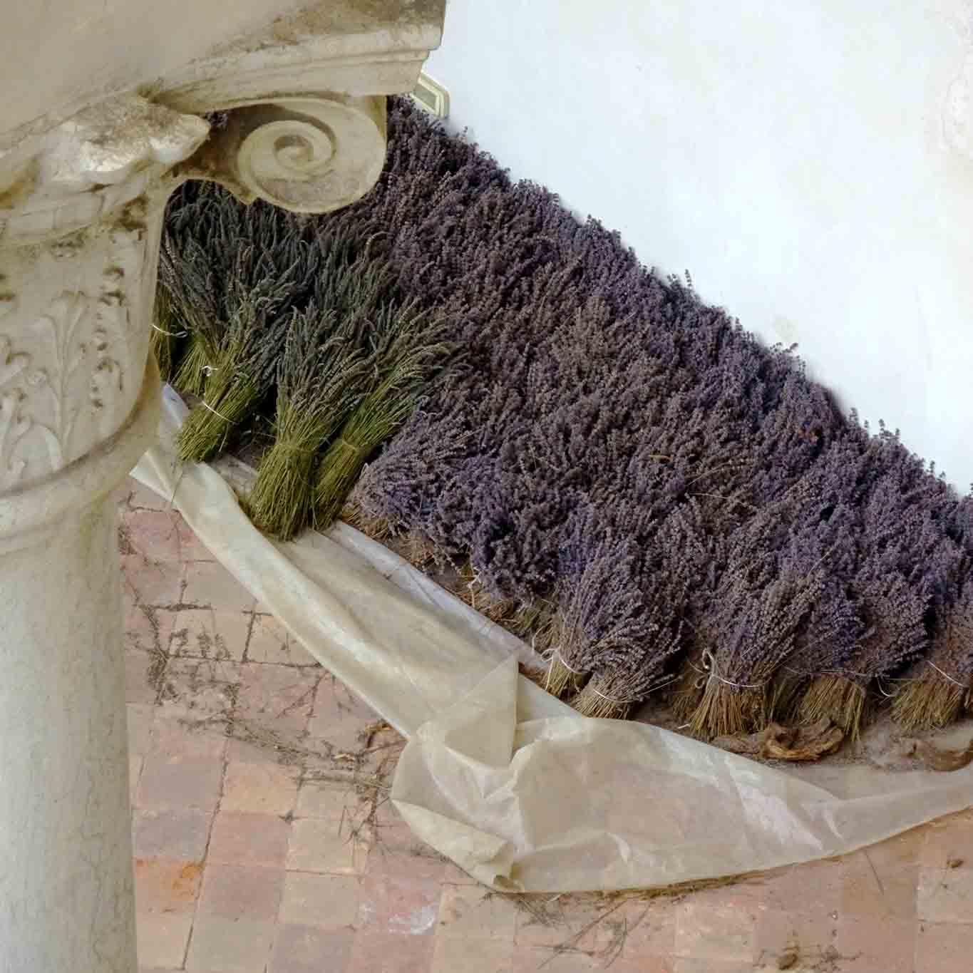 abbazia di praglia kräuterschätze