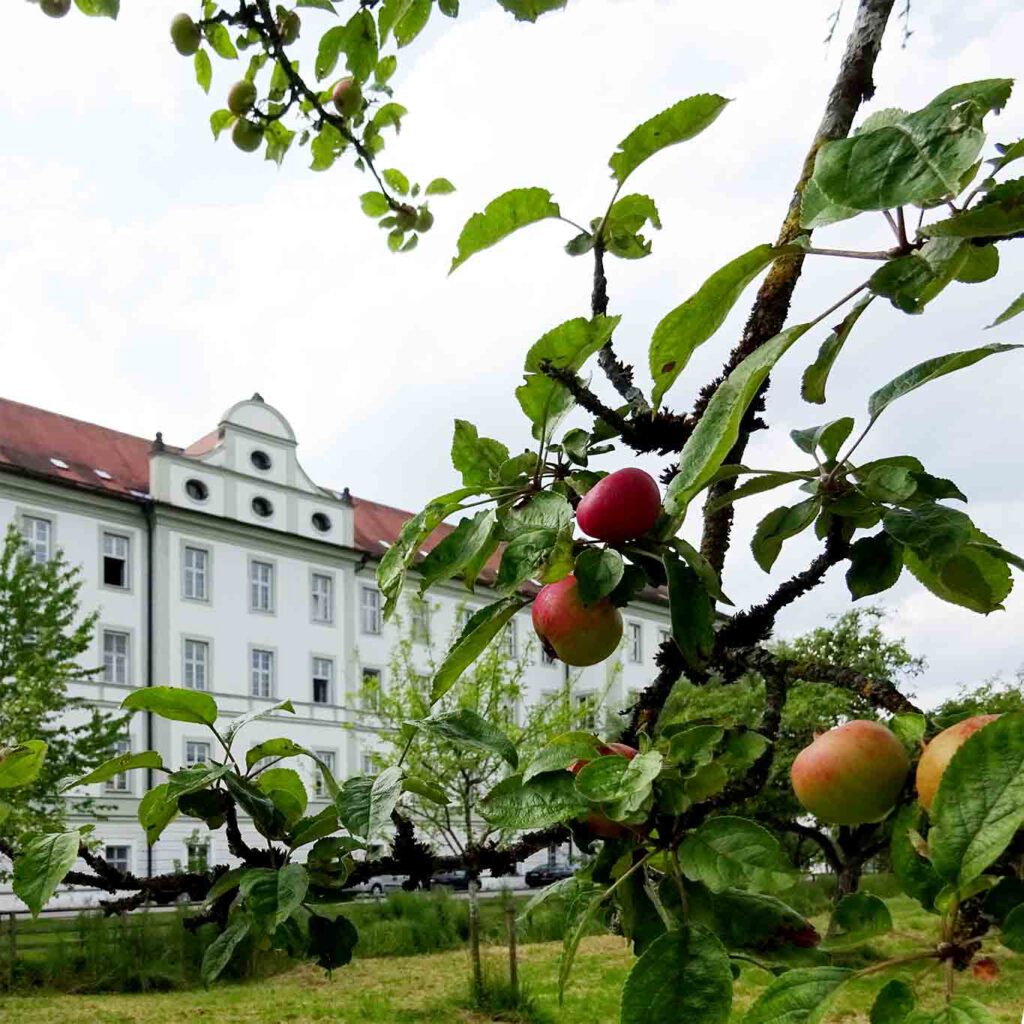 abtei schaeftlarn obstgarten nach wordpress update mit wesentlich mehr fehlern