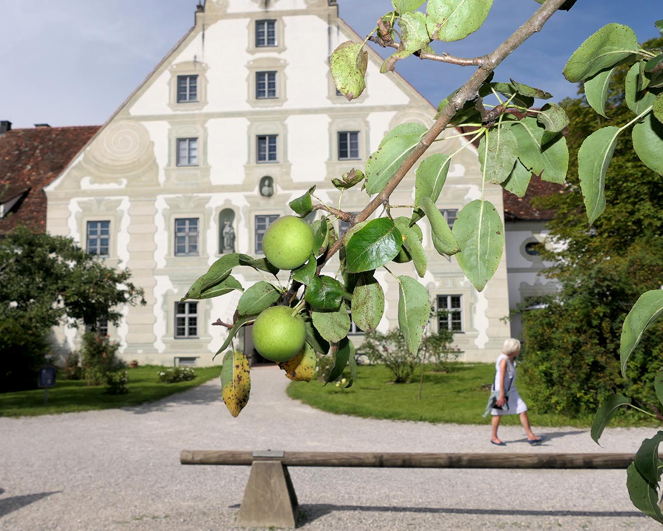 Äpfel grün kloster benediktbeuern Die Äpfel fallen nicht weit vom Stamm. In diesem Fall nicht weit vom Maierhof.