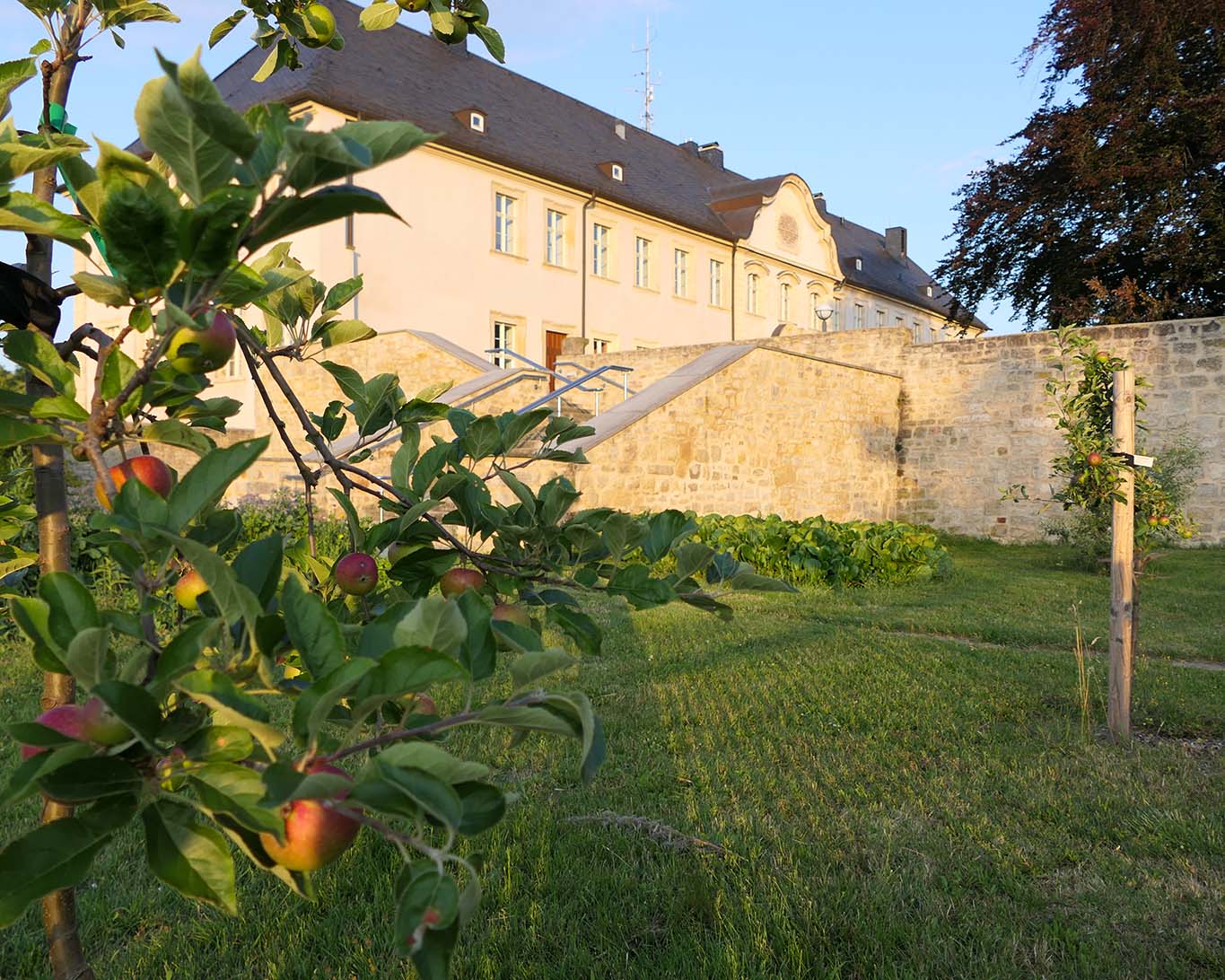 apfelbaum seminargebäude kloster huysburg