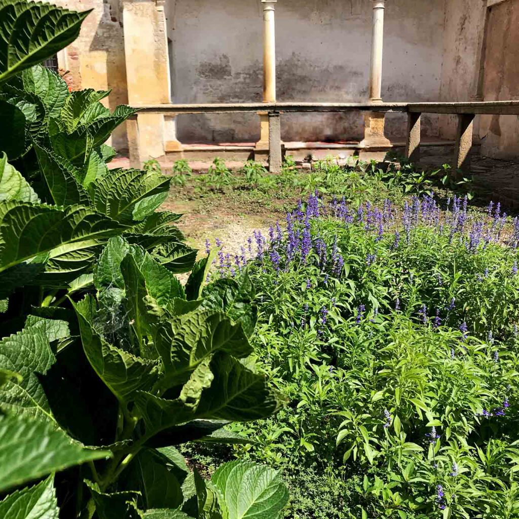 certosa die pavia garten kartäuser Jede von Mönchen bewohnte Kartause hat einen kleinen Garten.
