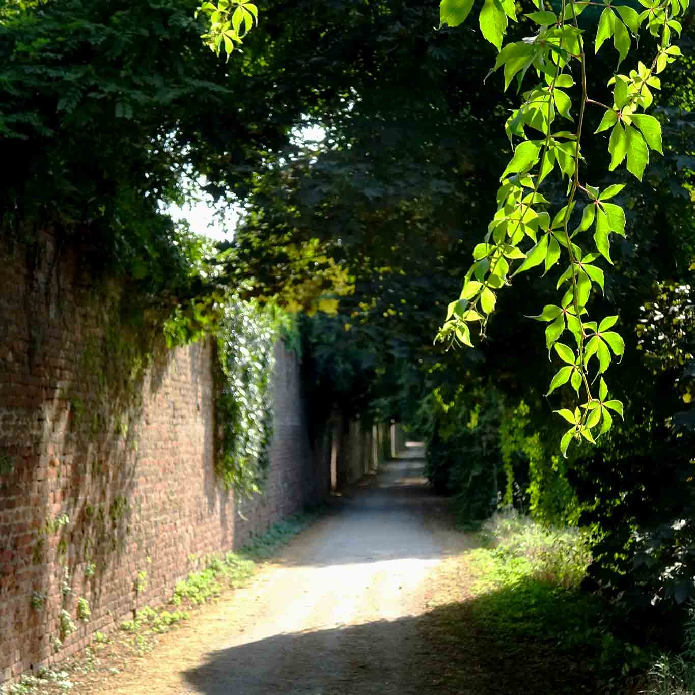 certosa die pavia weg im schatten Ein romantischer Fussweg führt zur Certosa di Pavia.