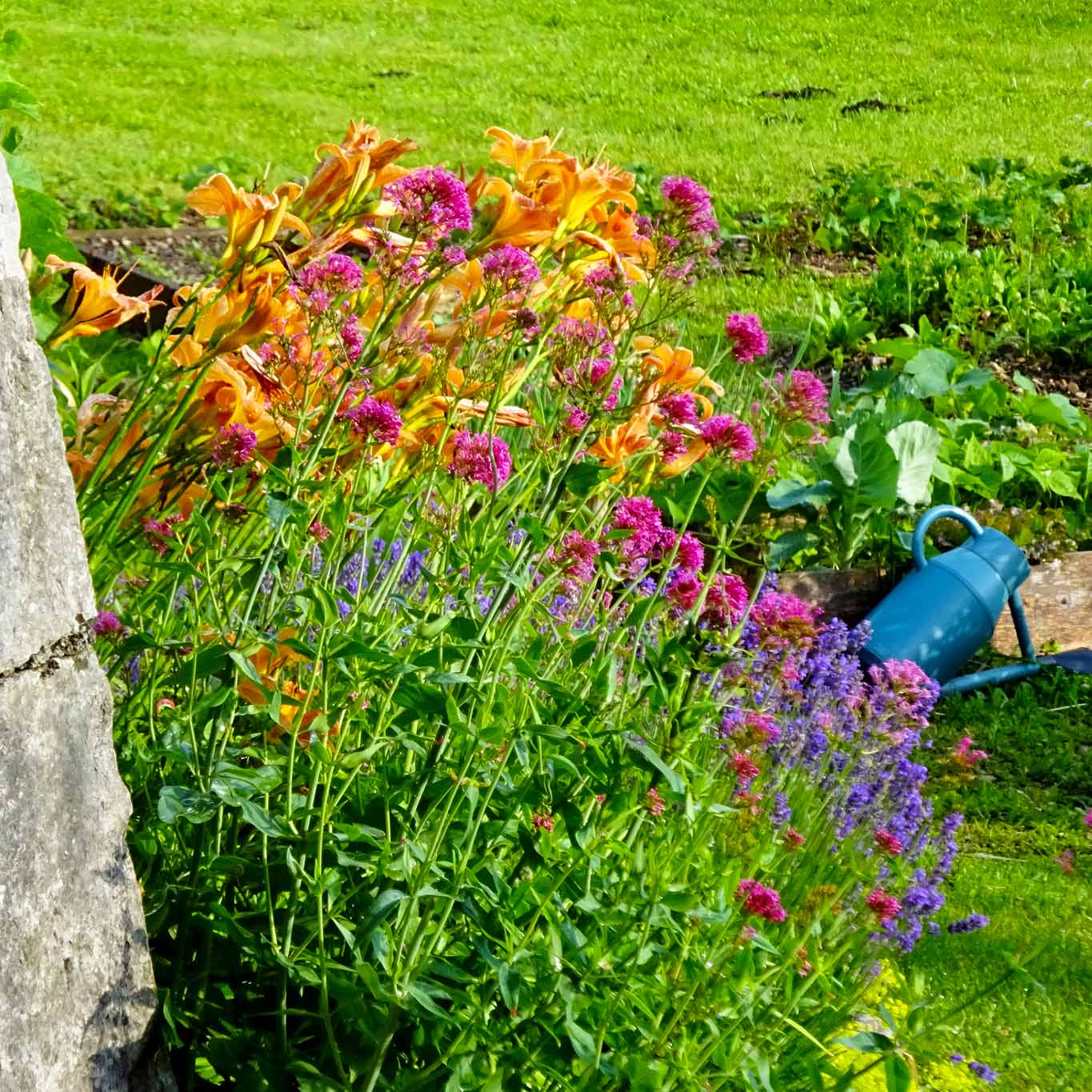 Arrangement mit Wasserkanne im Klostergarten Chalais de Voreppe.