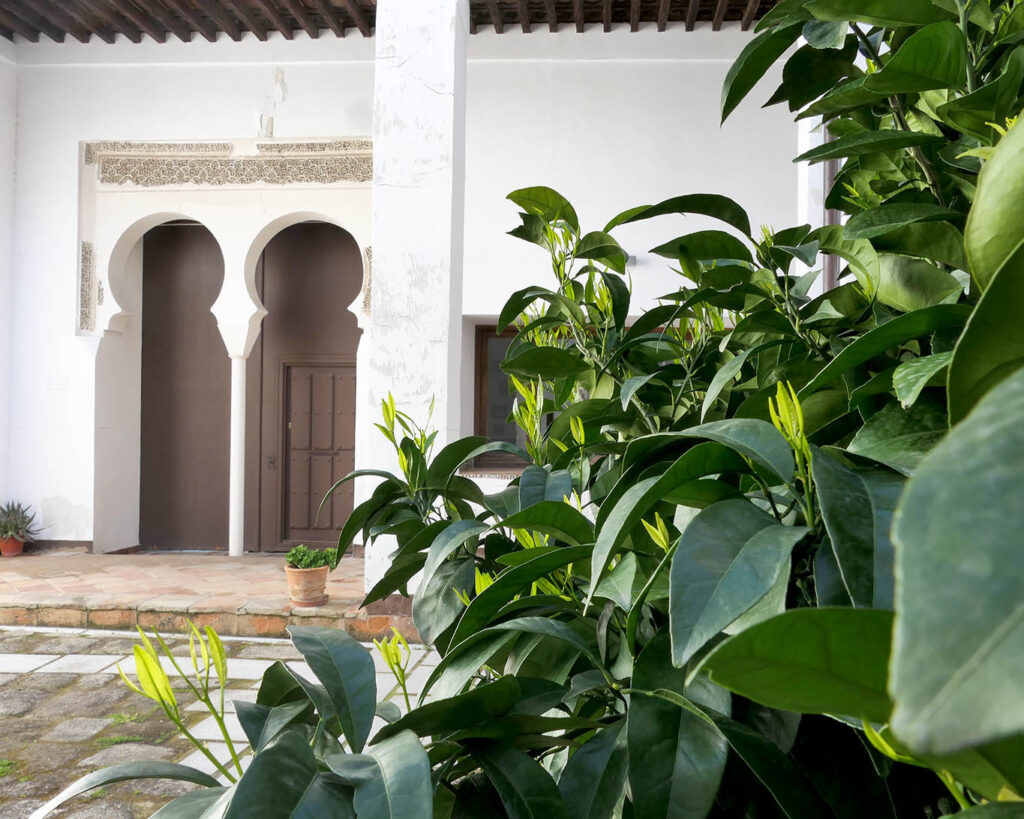 Noch blühen die namensgebenden Orangenbäumchen nicht und tragen keine Früchte und sind dennoch äusserst dekorativ.convento santa clara la real toledo berühmter orangenbaum