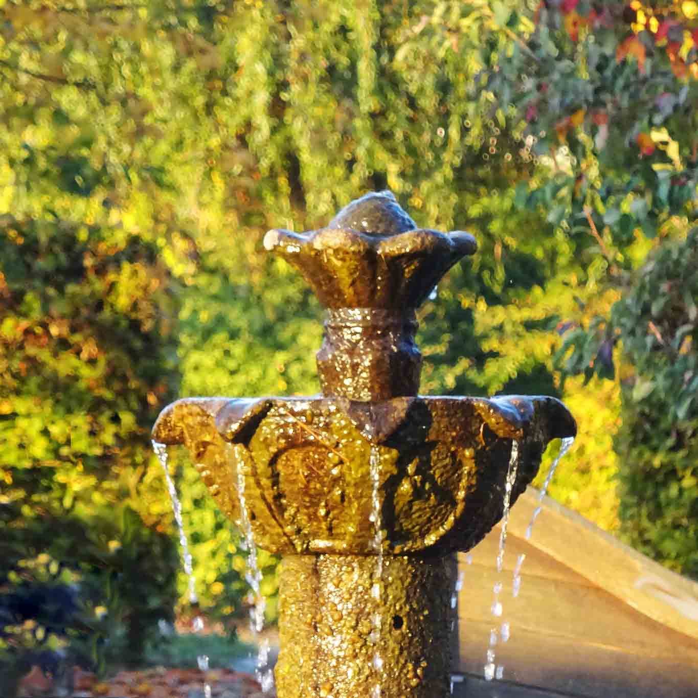 hildegardforum brunnen misfunction wordpress
