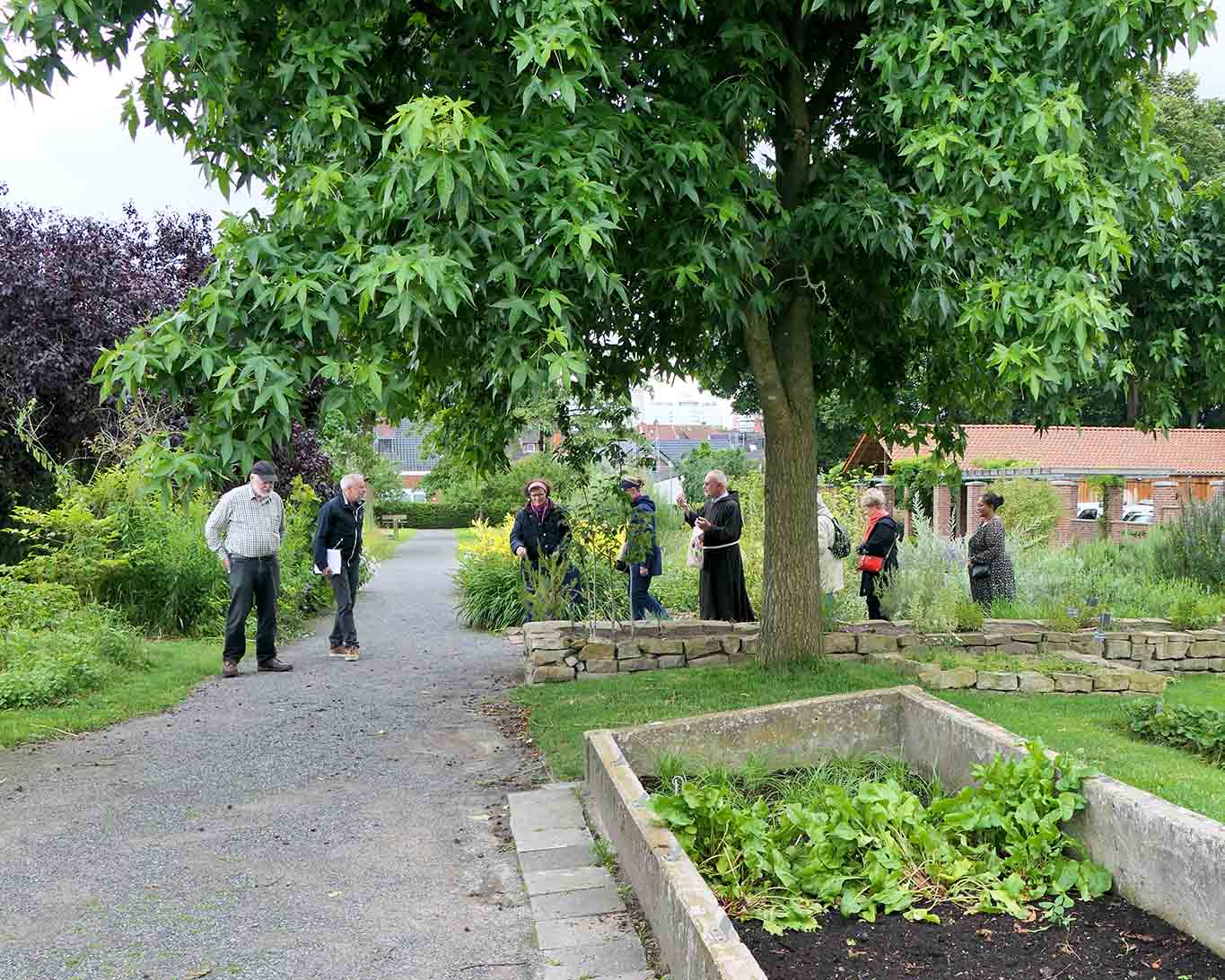 kapuzinerkloster münster gartenführung mit baum