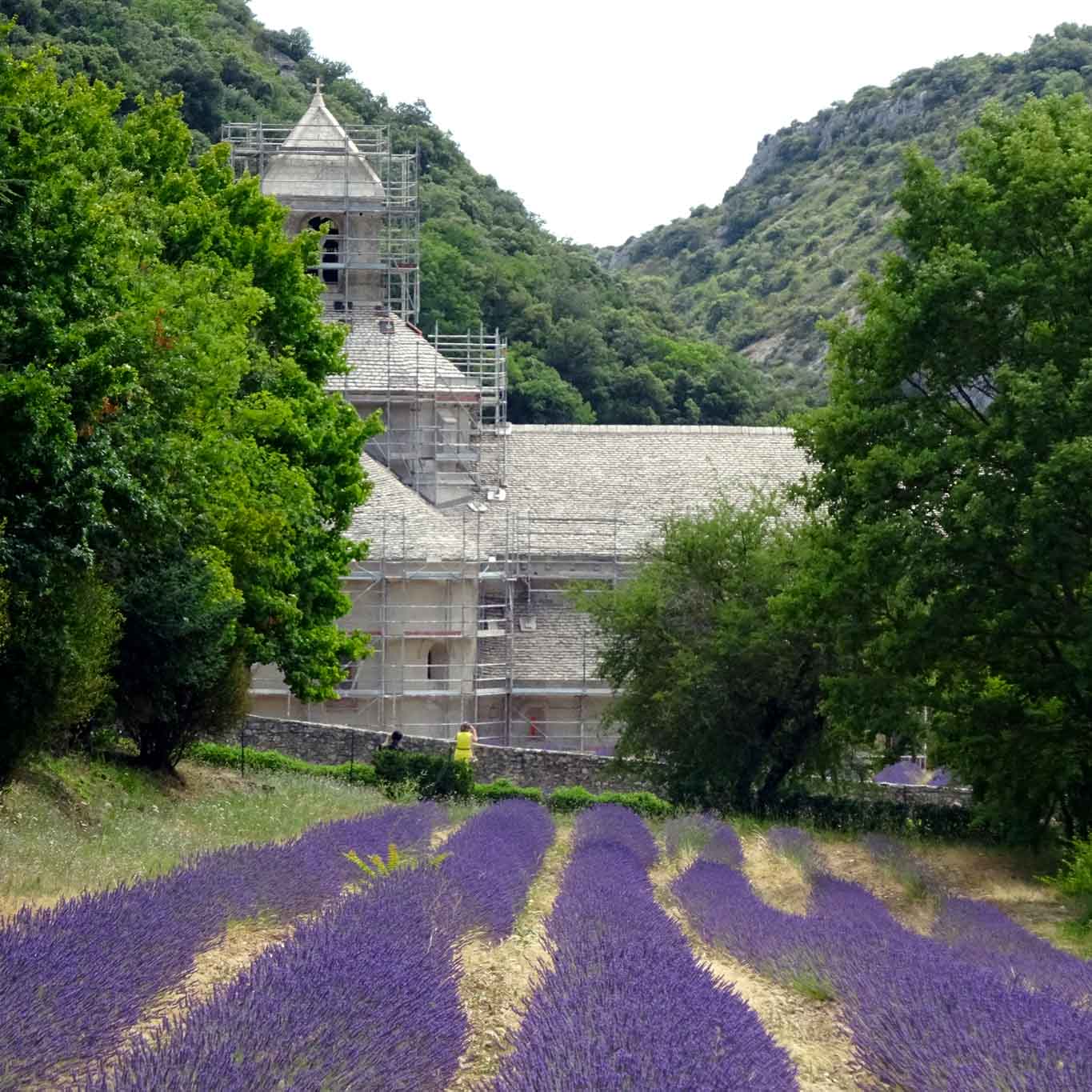 kirche feld senanque