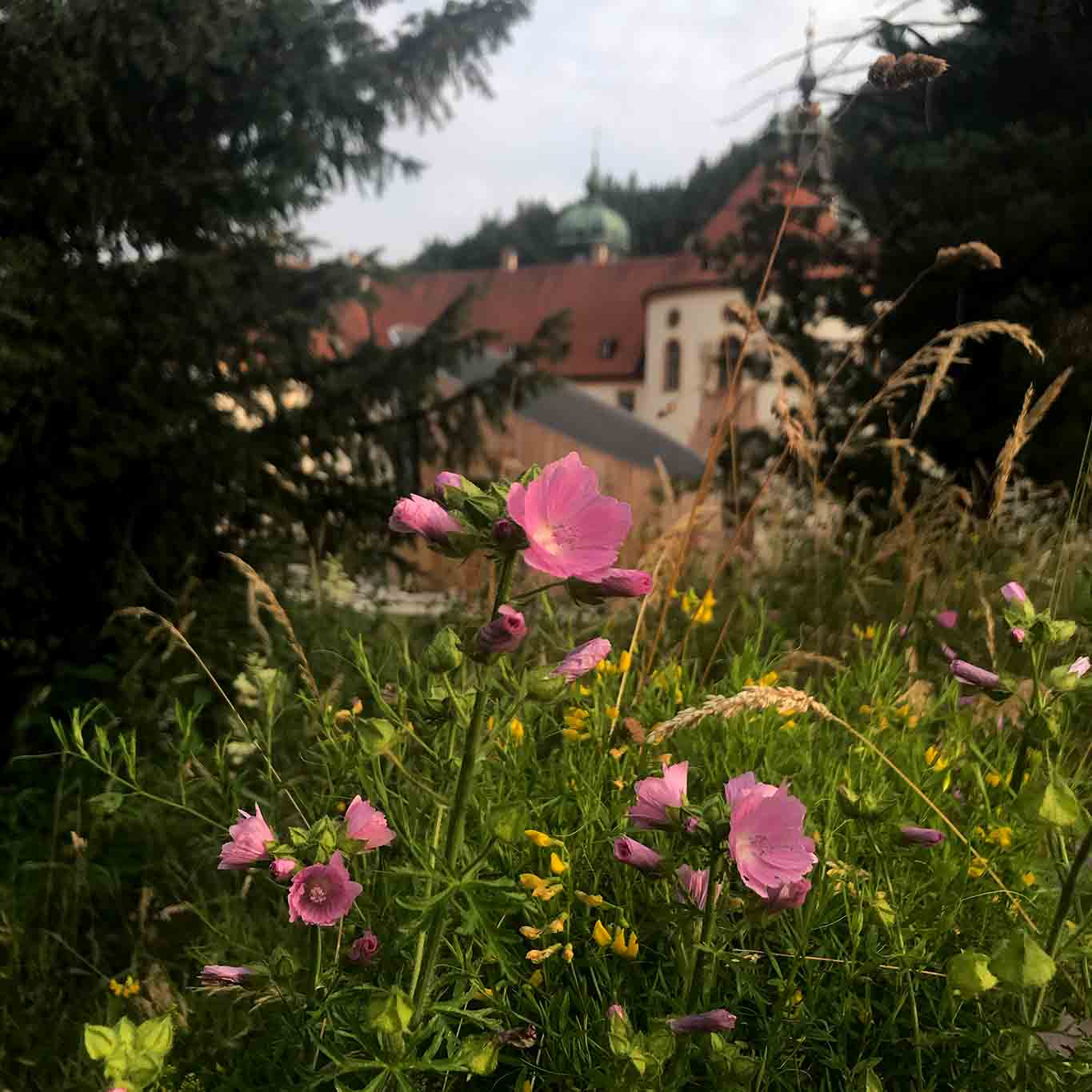 kloster abtei ettalmalven