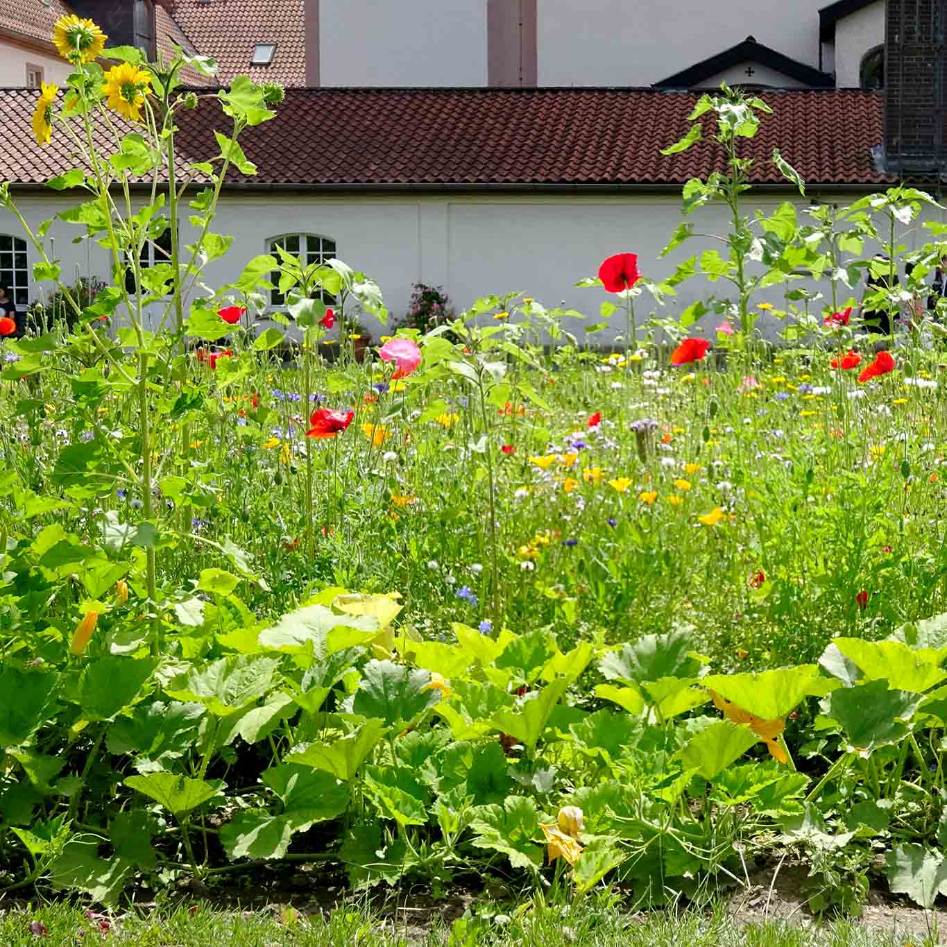 kloster frauenberg fulda gartenbau bunt