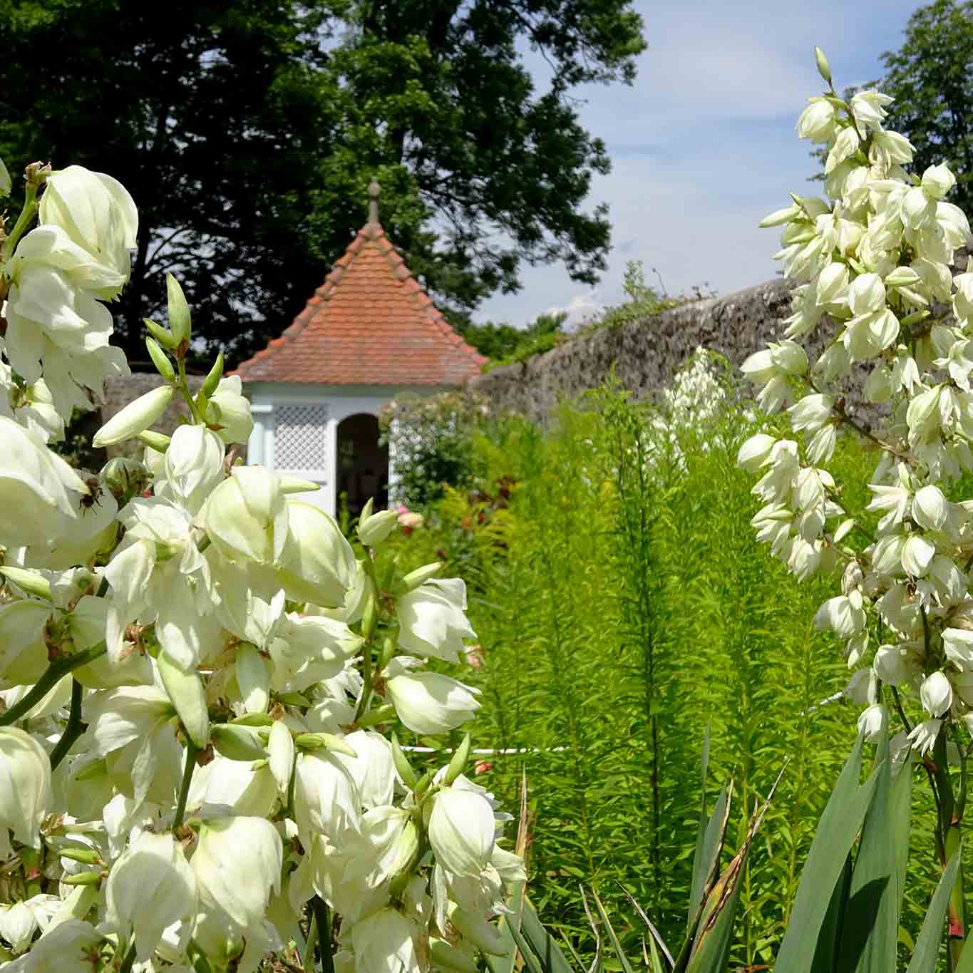 kloster frauenberg fulda gartenhaus mit blüten