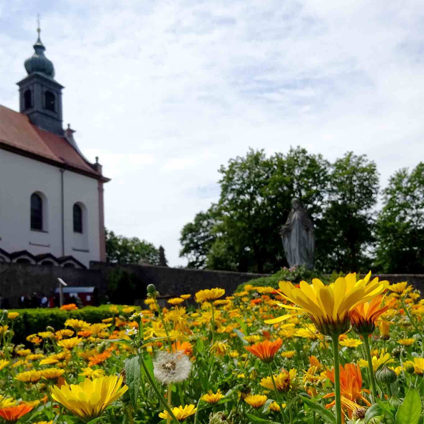 kloster frauenberg fulda ringelblumen kirche marienstatue