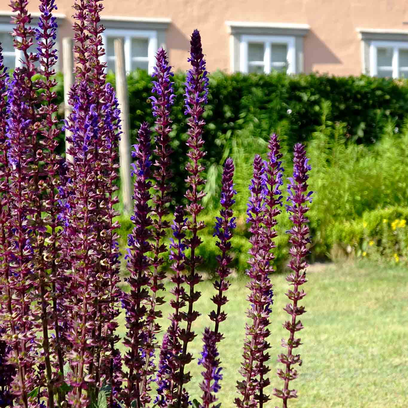 Abbild der Schöpfung. Vielfalt, Kontraste, Harmonie. kloster isenhagen arrangement mit blau