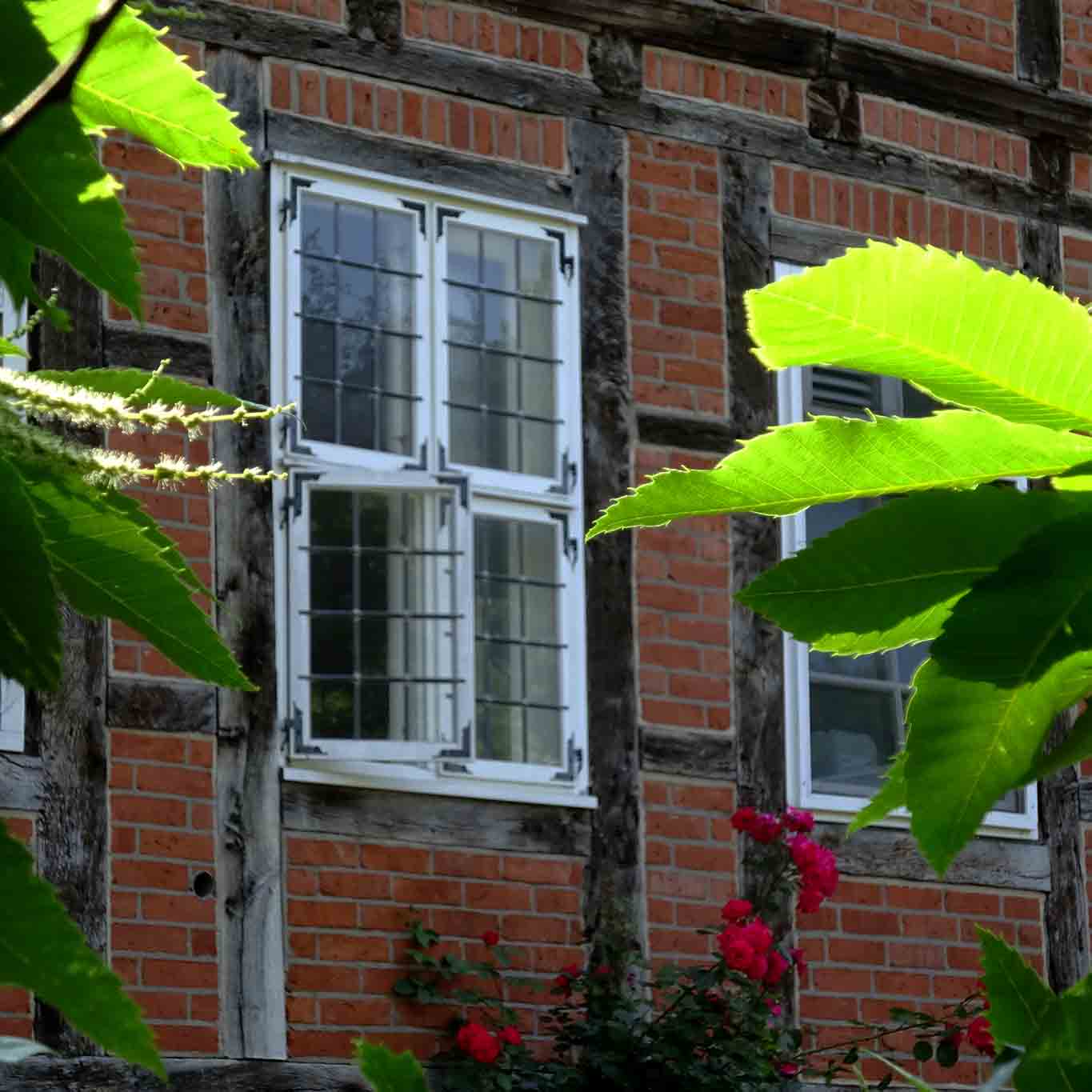 kloster lüne fenster mit pelargonien und maronen Backsteingotik mit Fachwerk.