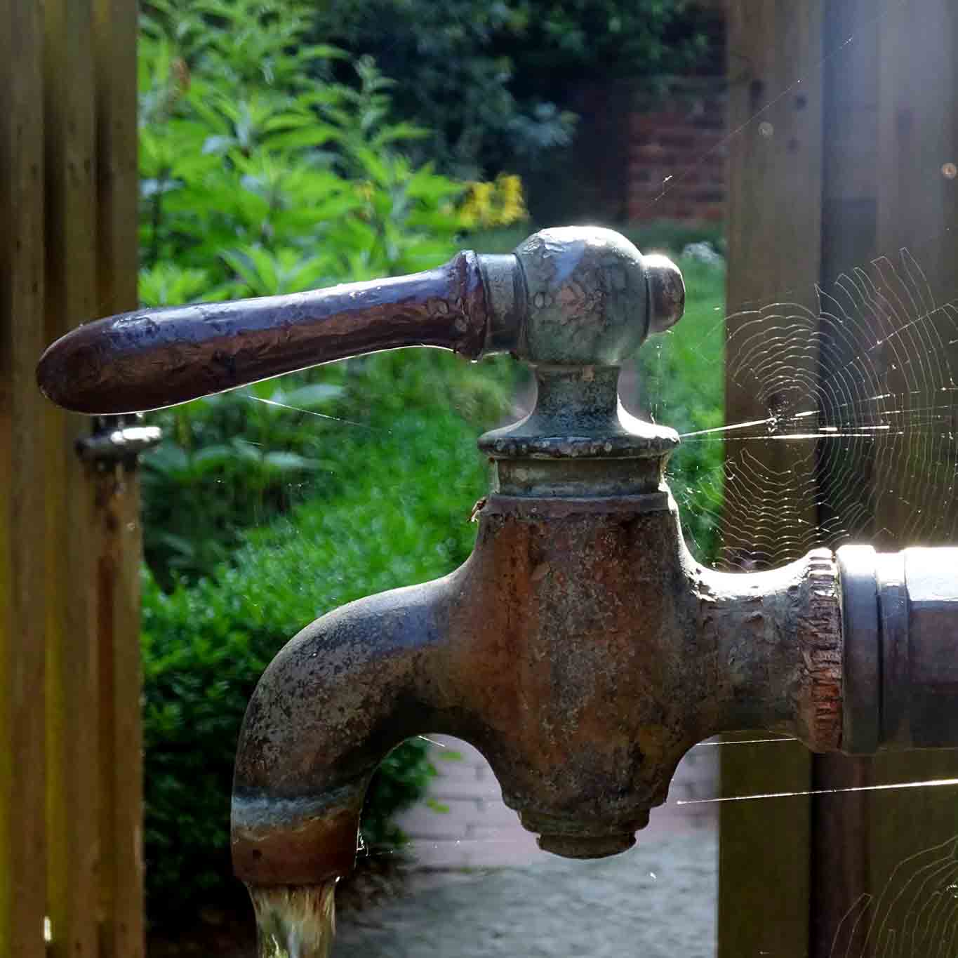 kloster lüne wasserhahn mit spinnweben Das Werk der Spinnen am Hahn.