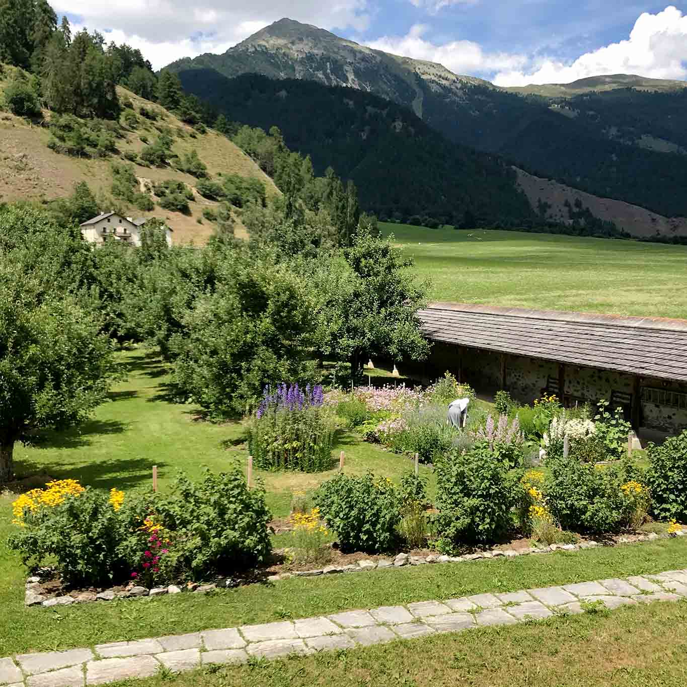 Mühevoll ist die Arbeit. Prächtig das Ergebnis. kloster muestair garten rückwärtig mit alpenpanorama