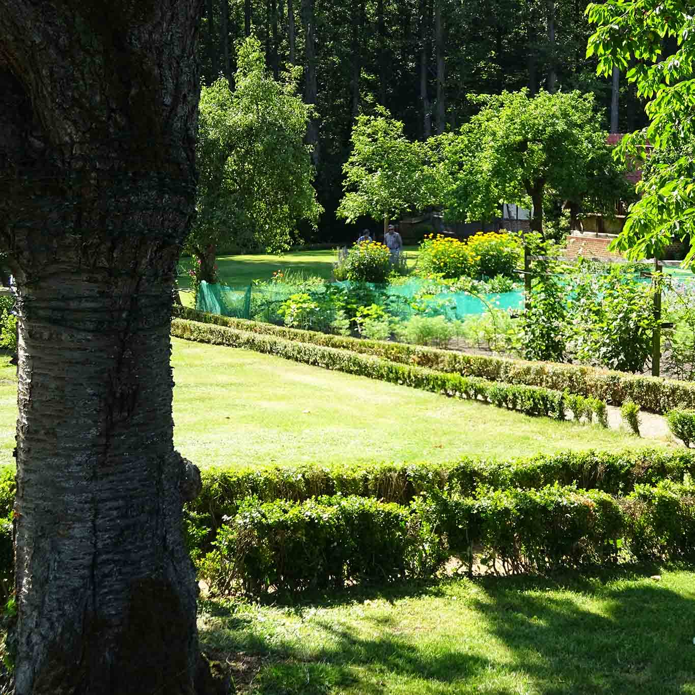 klostergarten isenhagen nutzgarten ästhetisch schön. wordpress ein tool voller fehler