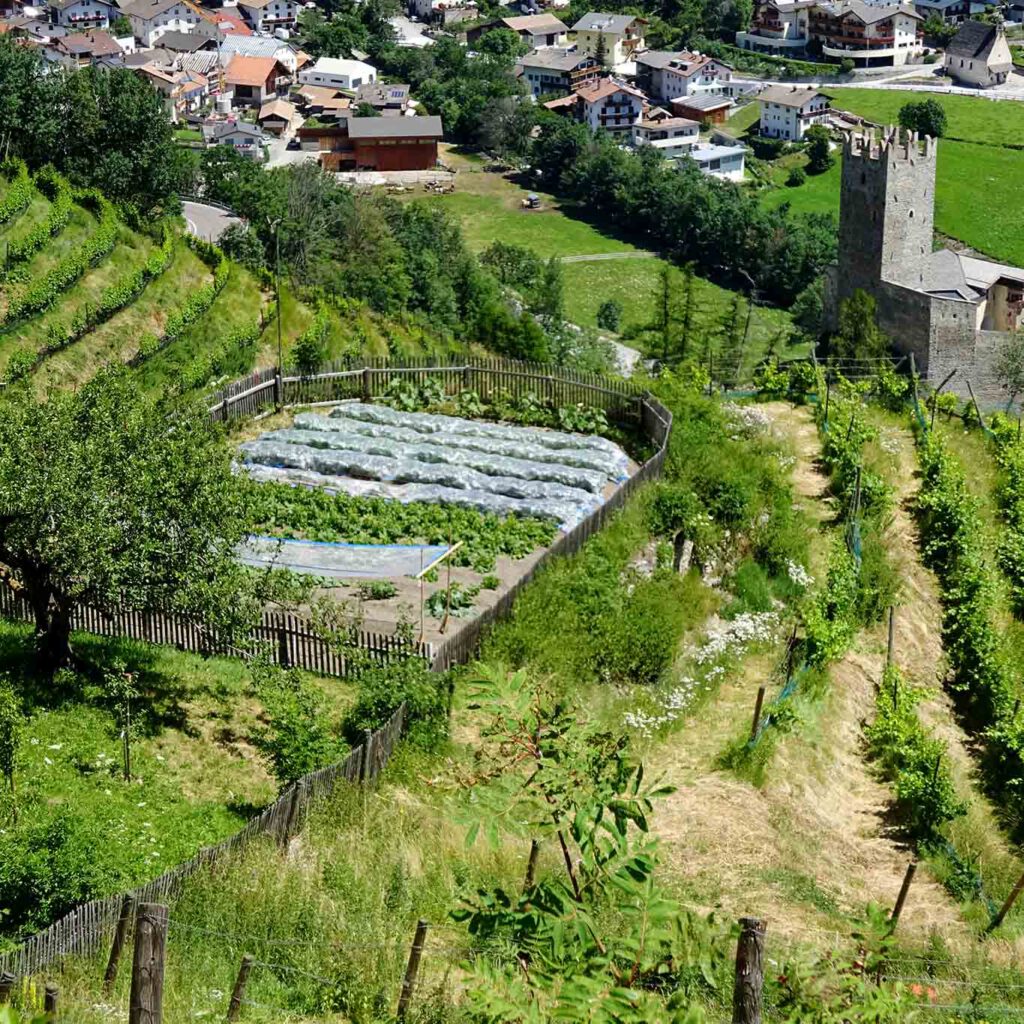 nutzgarten von oben benediktiner stift marienberg Obst- und Gemüsegärten sind terrassenförmig am Berg angelegt. Gemüsegärten der Mönche.