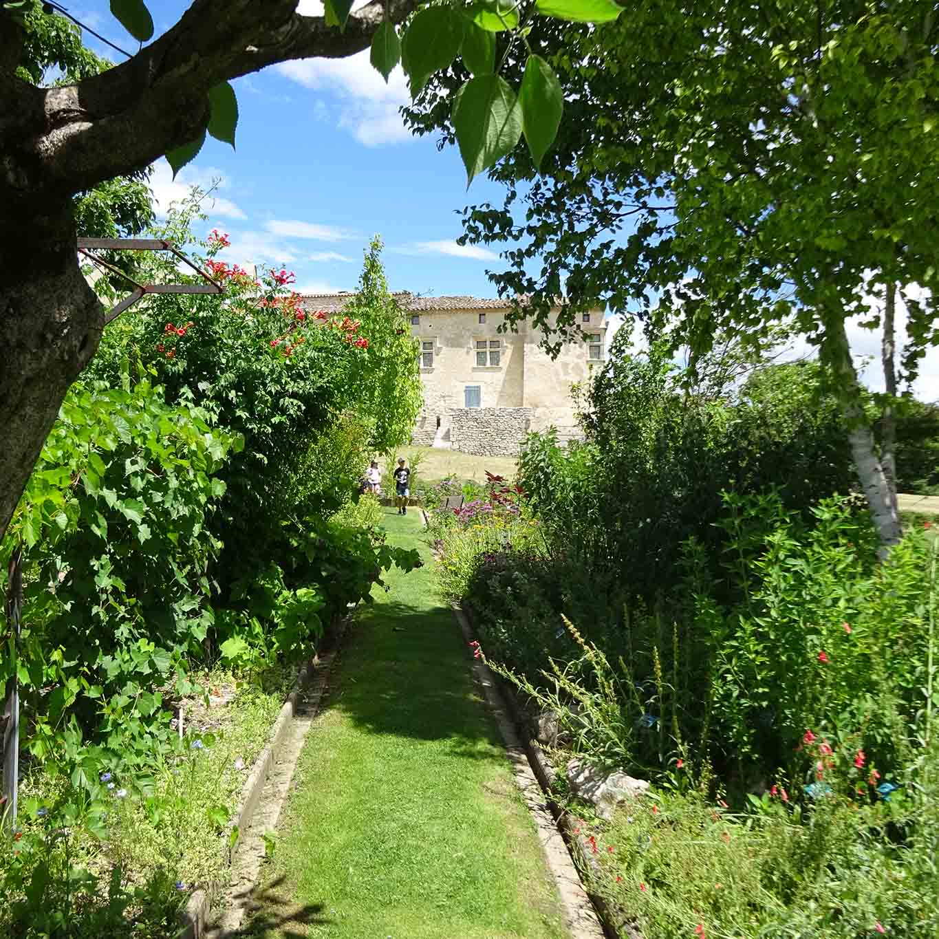 obstbaum birke jardin et musee salagon