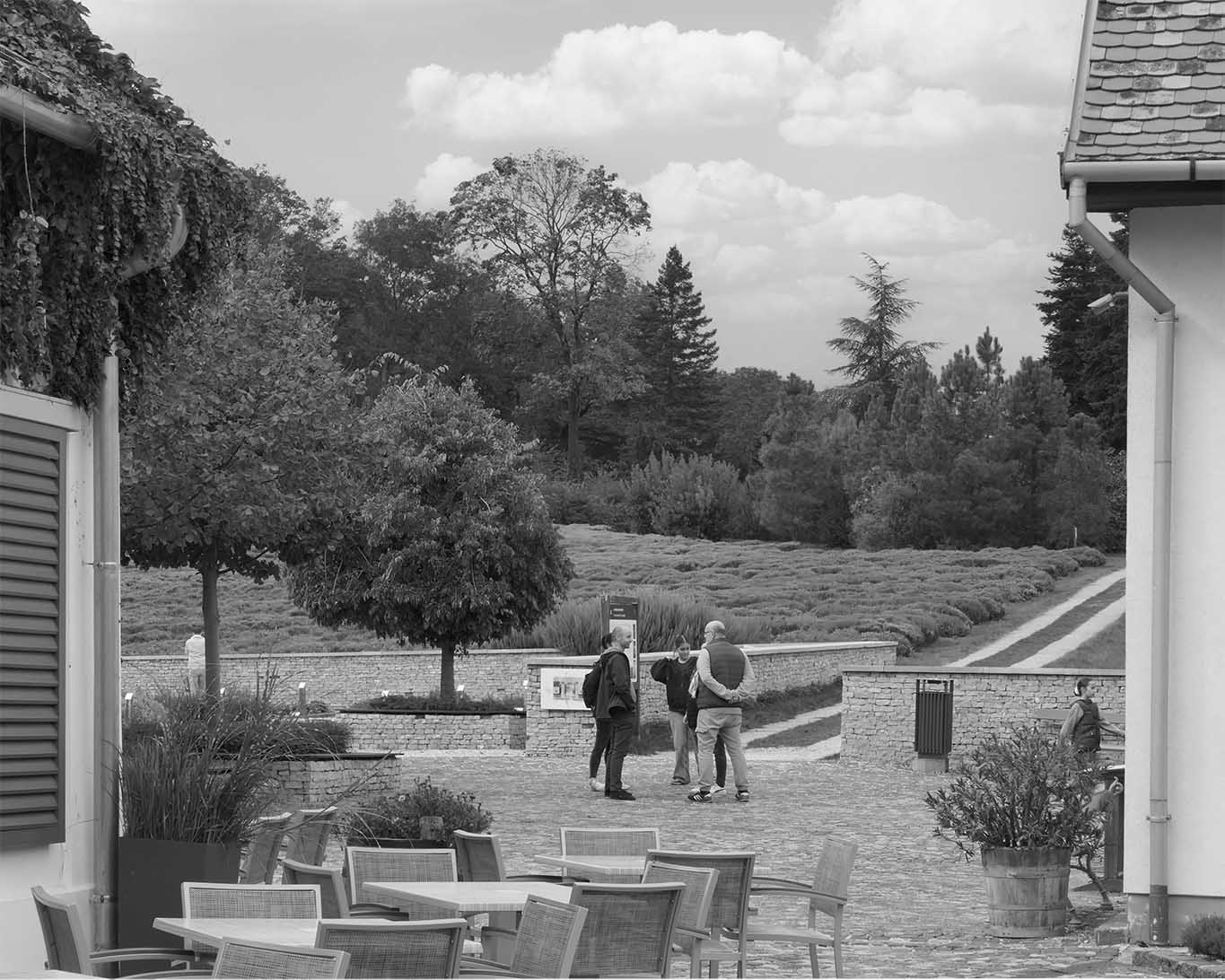pannonhalma pausa