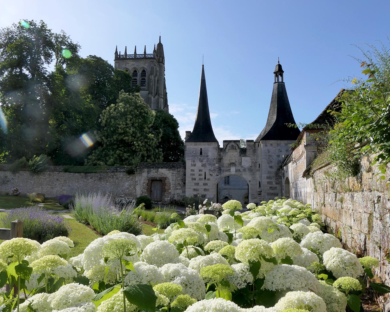 porte hortensie abbaye notre dame du bec helloiun