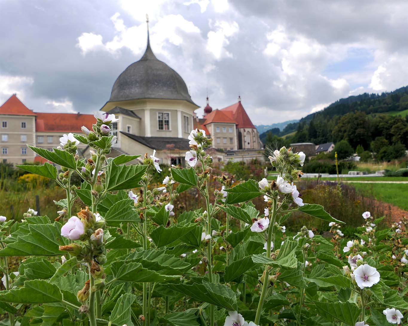 prospekt mit eibisch benediktinerstift st lamprecht