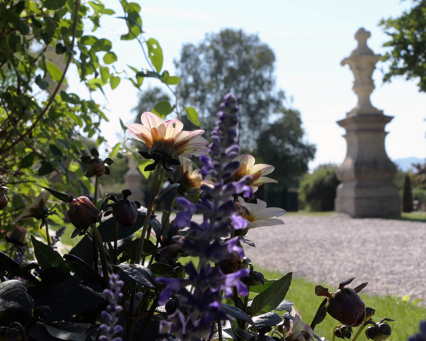 rabattenheld stift seitenstetten